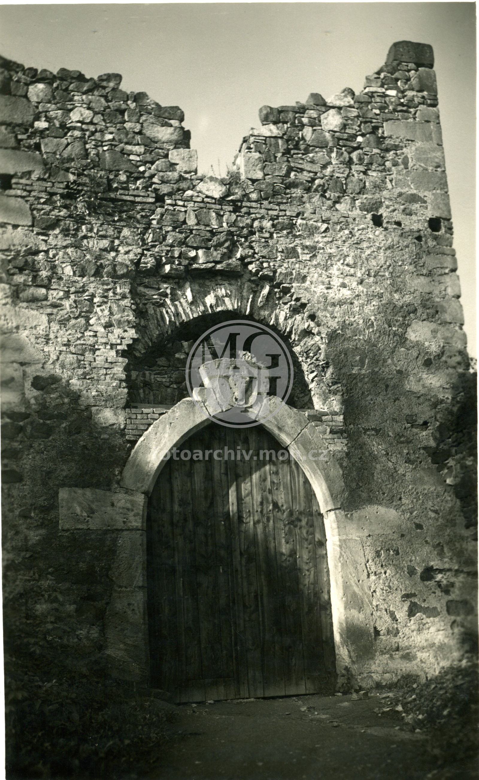 Fotografie - Zřícenina hradu