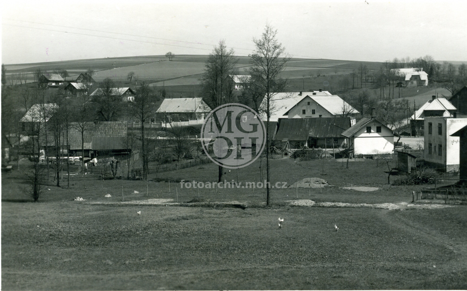 Fotografie - Celkový pohled