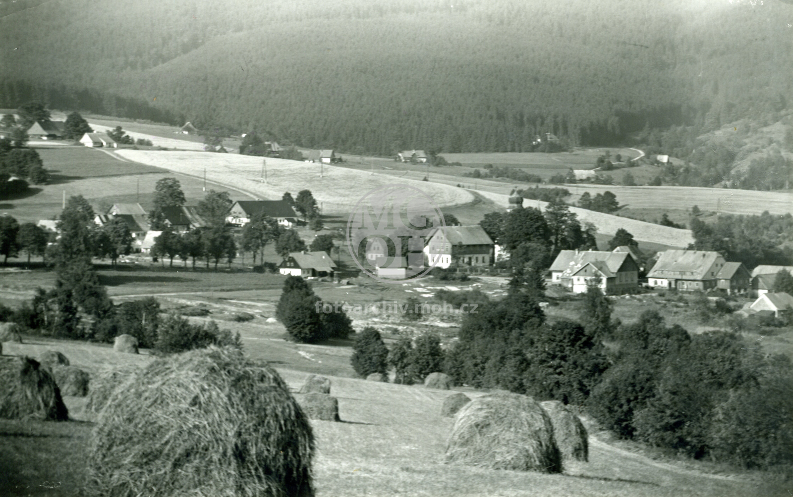 Fotografie - Celkový pohled, jaro