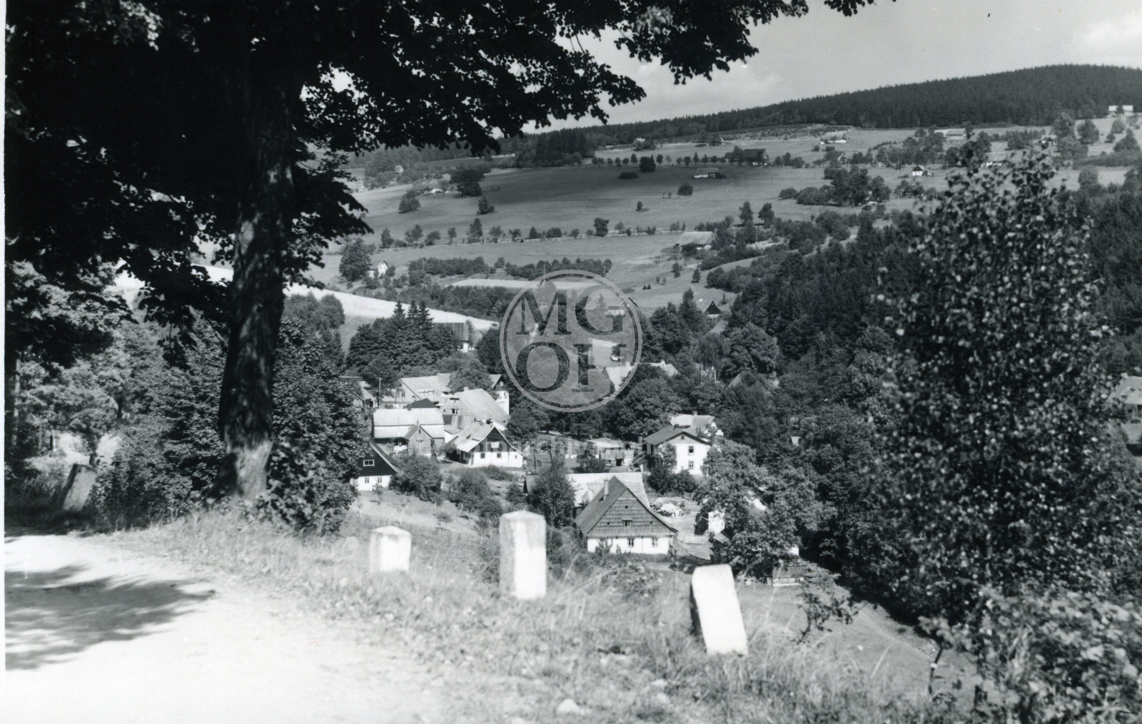 Fotografie - Celkový pohled