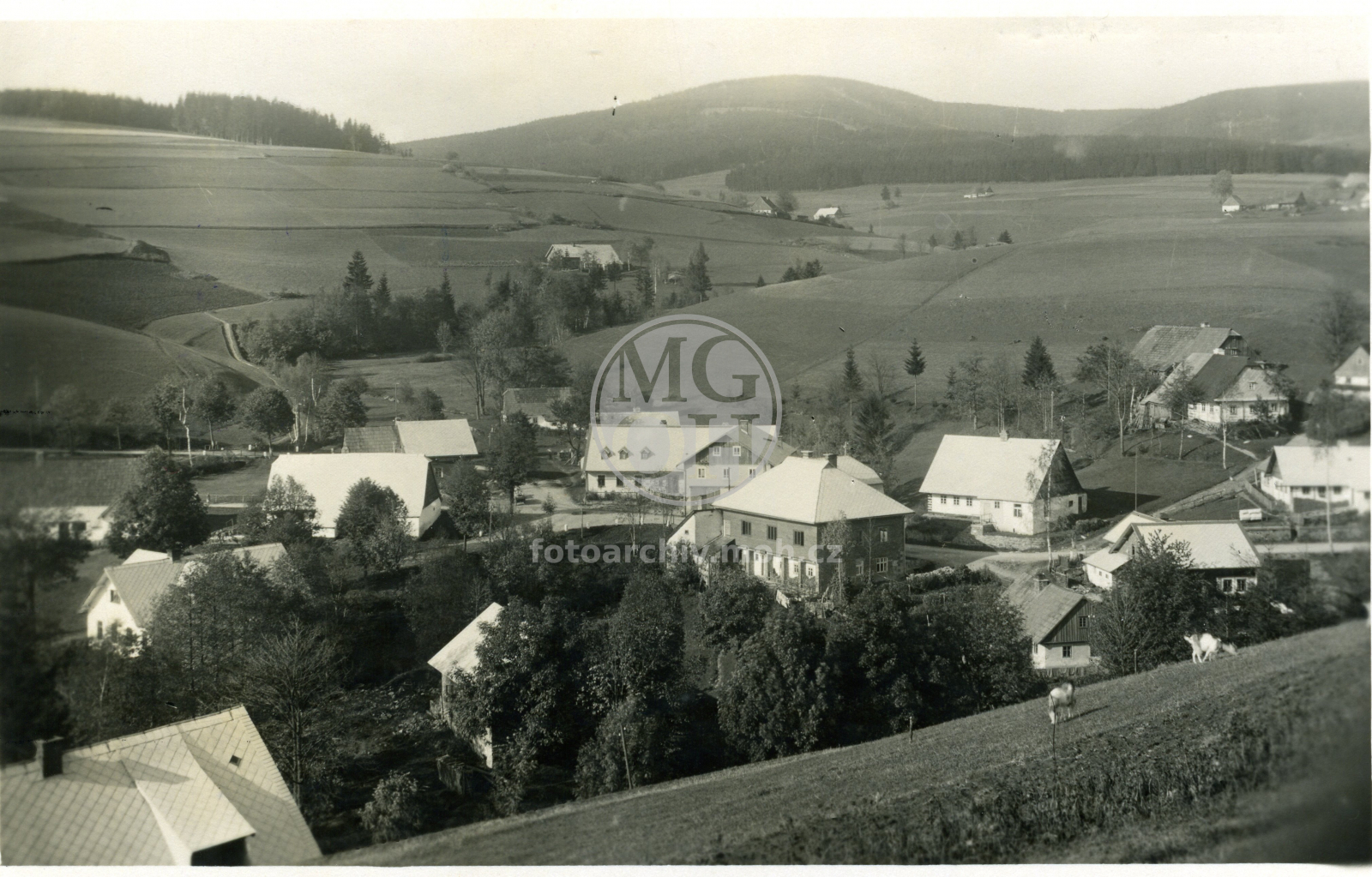 Fotografie - Celkový pohled