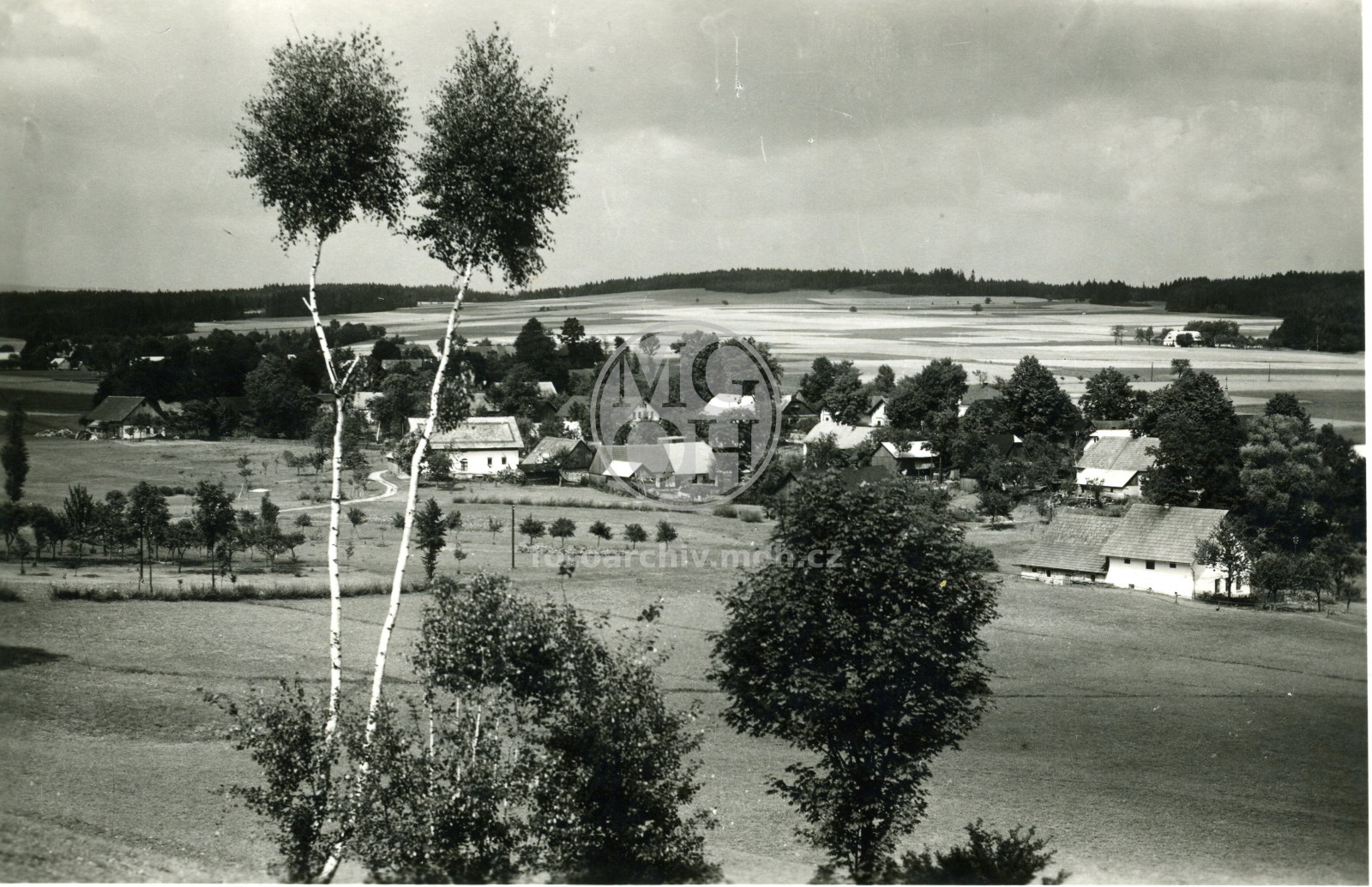 Fotografie - Celkový pohled