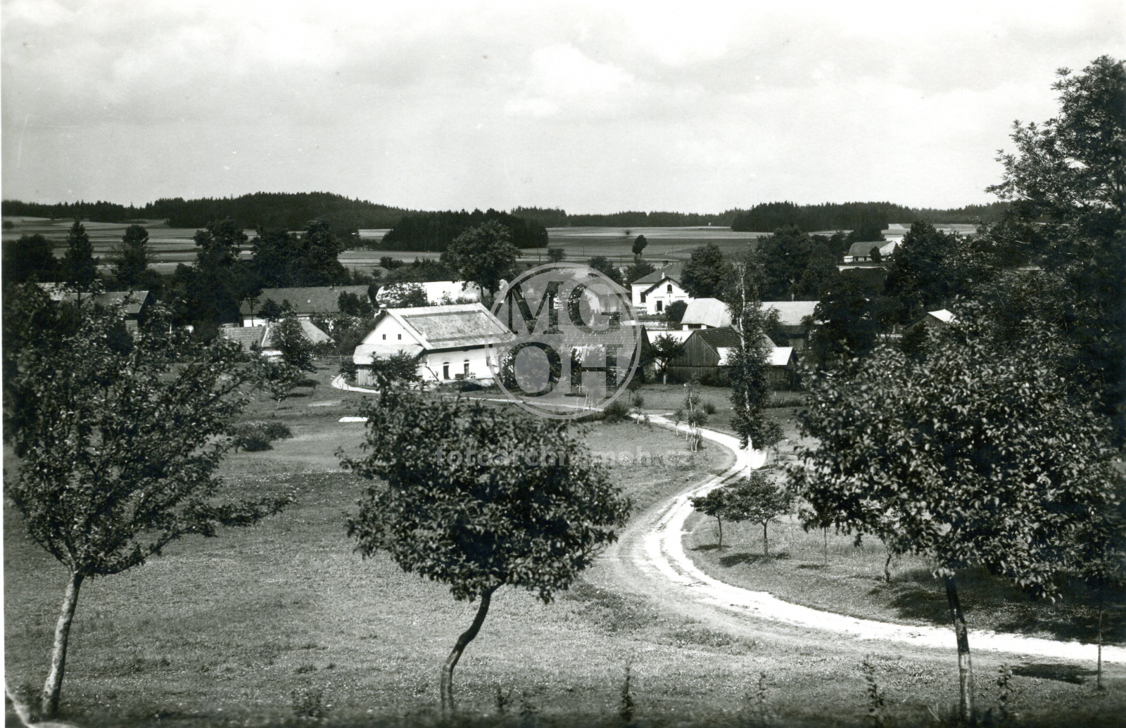 Fotografie - Celkový pohled