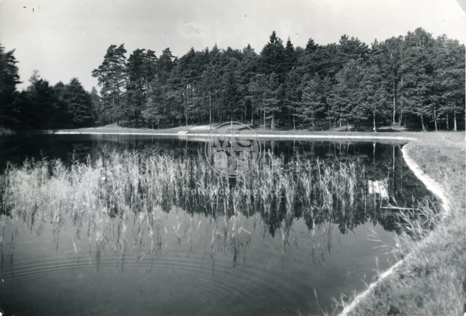 Fotografie - Koupaliště
