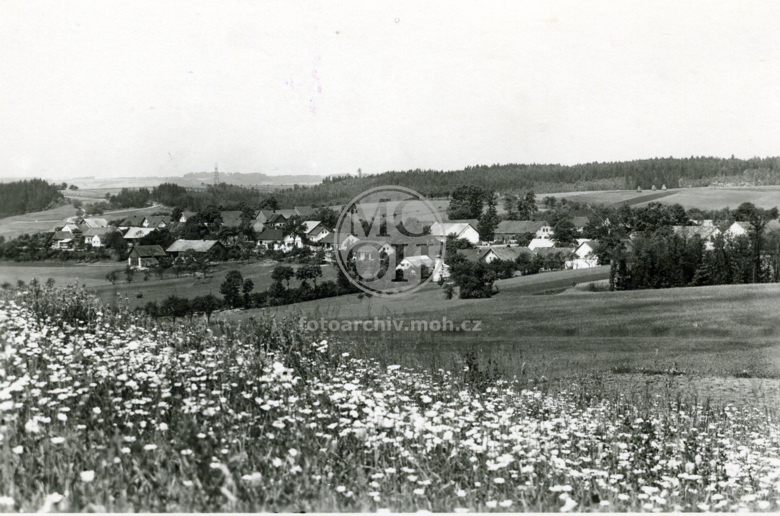 Fotografie - Celkový  pohled