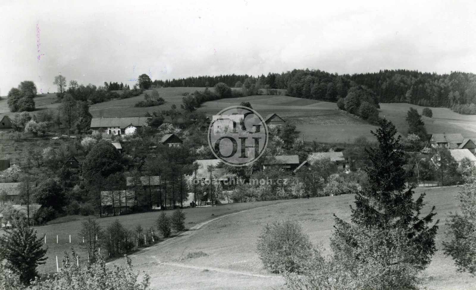 Fotografie - Celkový pohled
