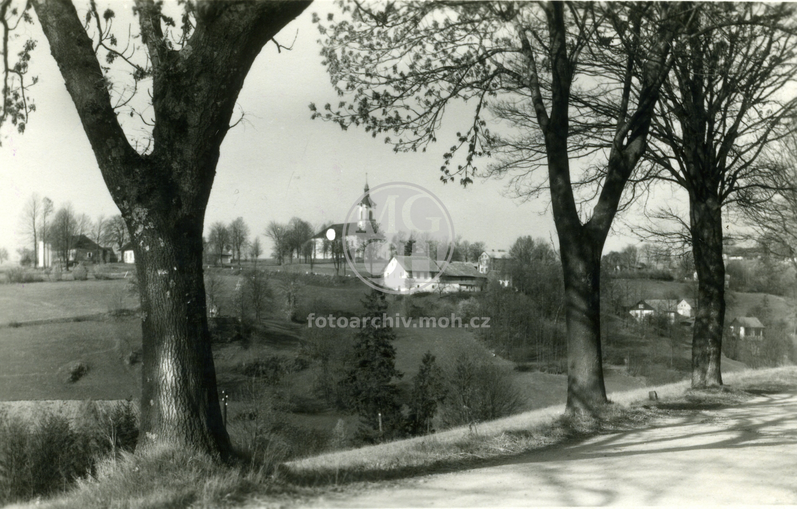 Fotografie - Celkový pohled