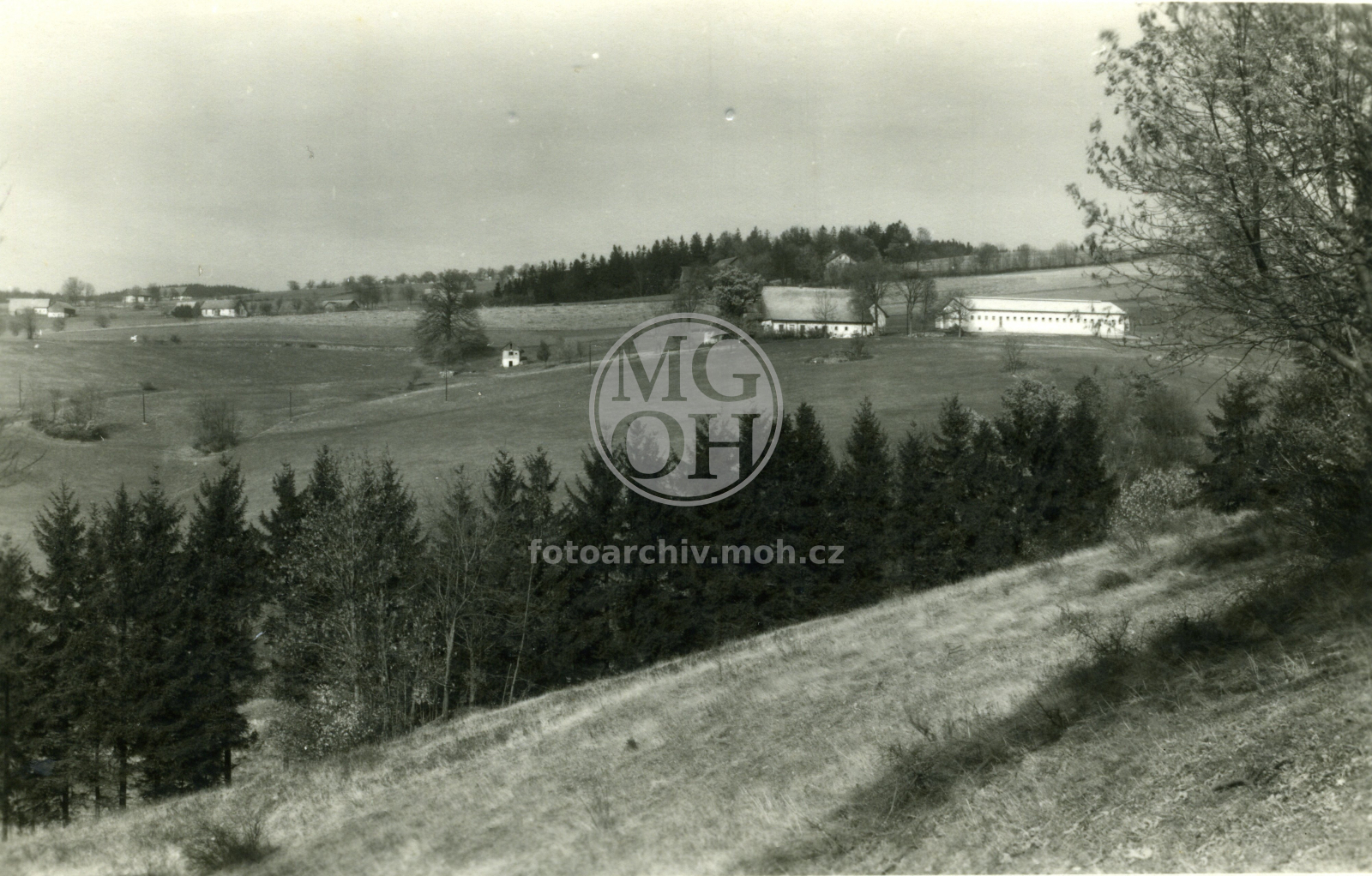 Fotografie - Ovčín