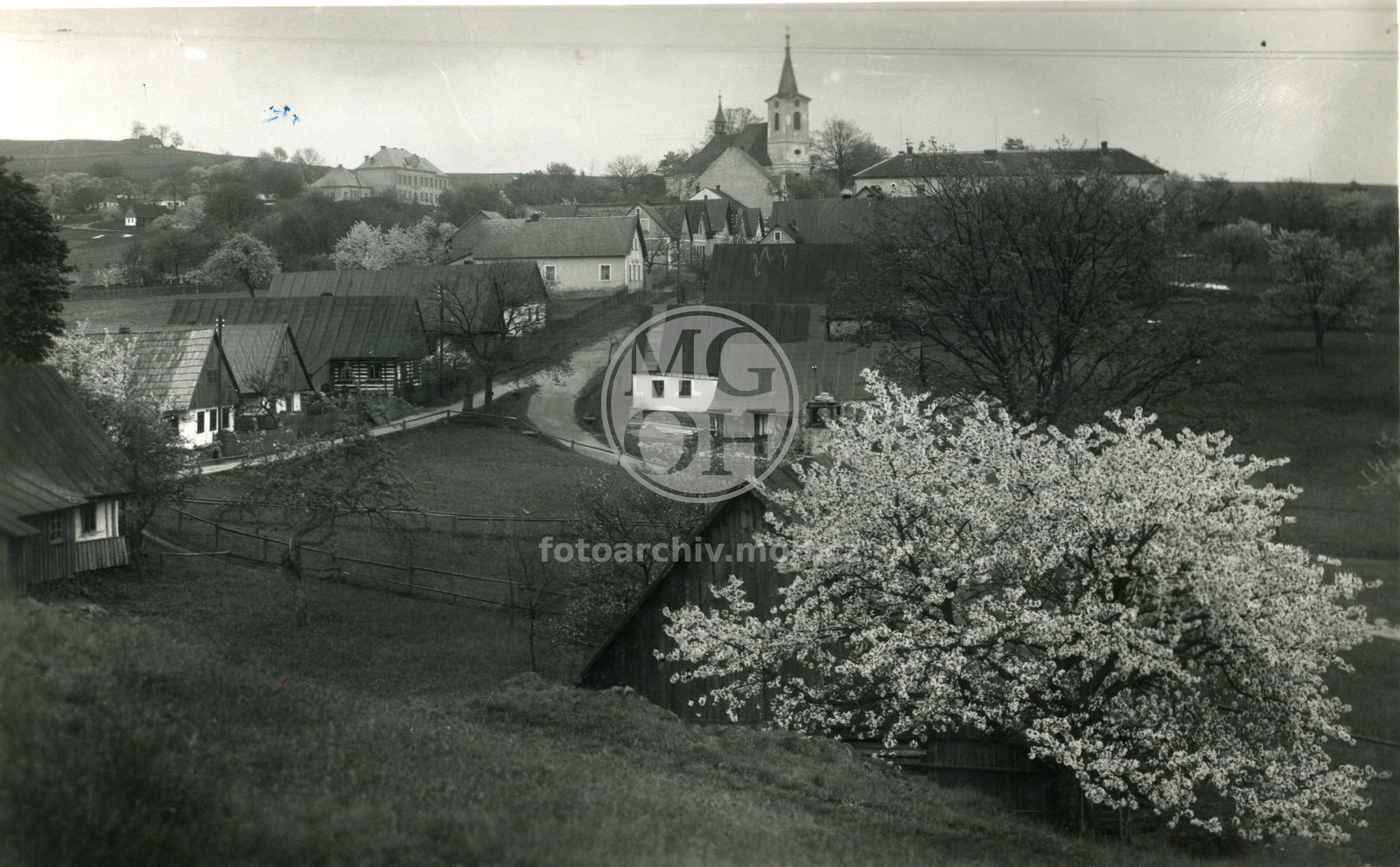 Fotografie - Celkový pohled