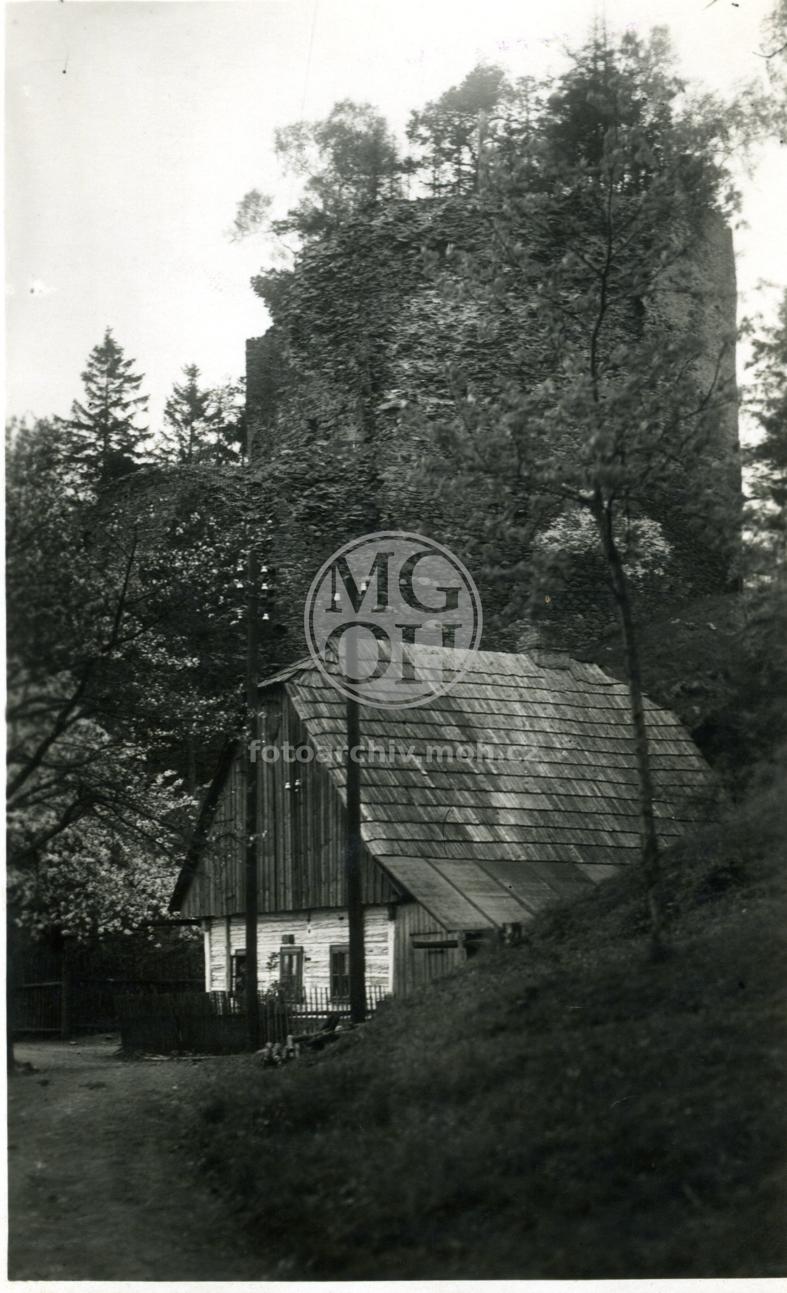 Fotografie - Zřícenina hradu  Frymburk