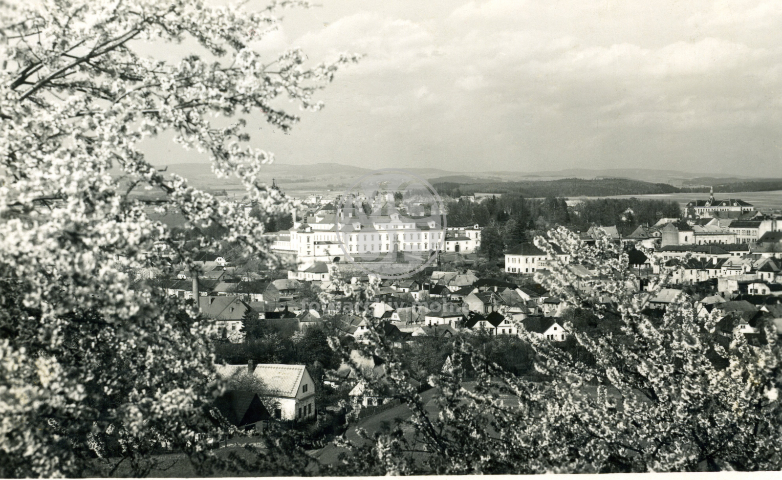 Fotografie - Celkový pohled, jaro
