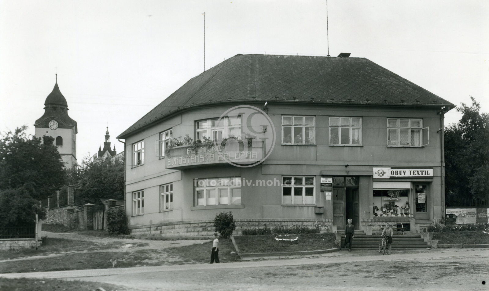 Fotografie - Kampelička