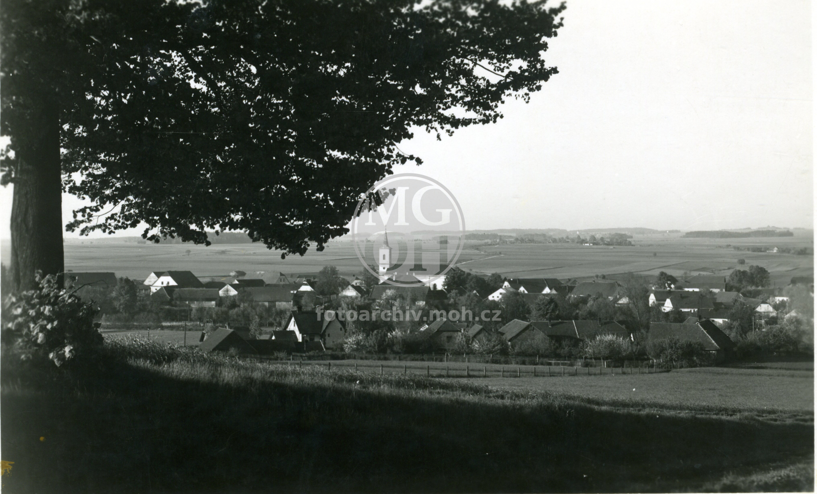Fotografie - Celkový pohled