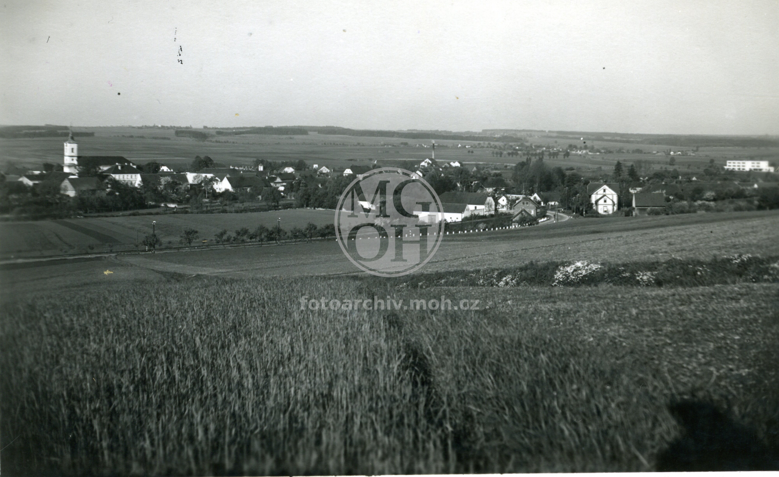 Fotografie - Celkový pohled