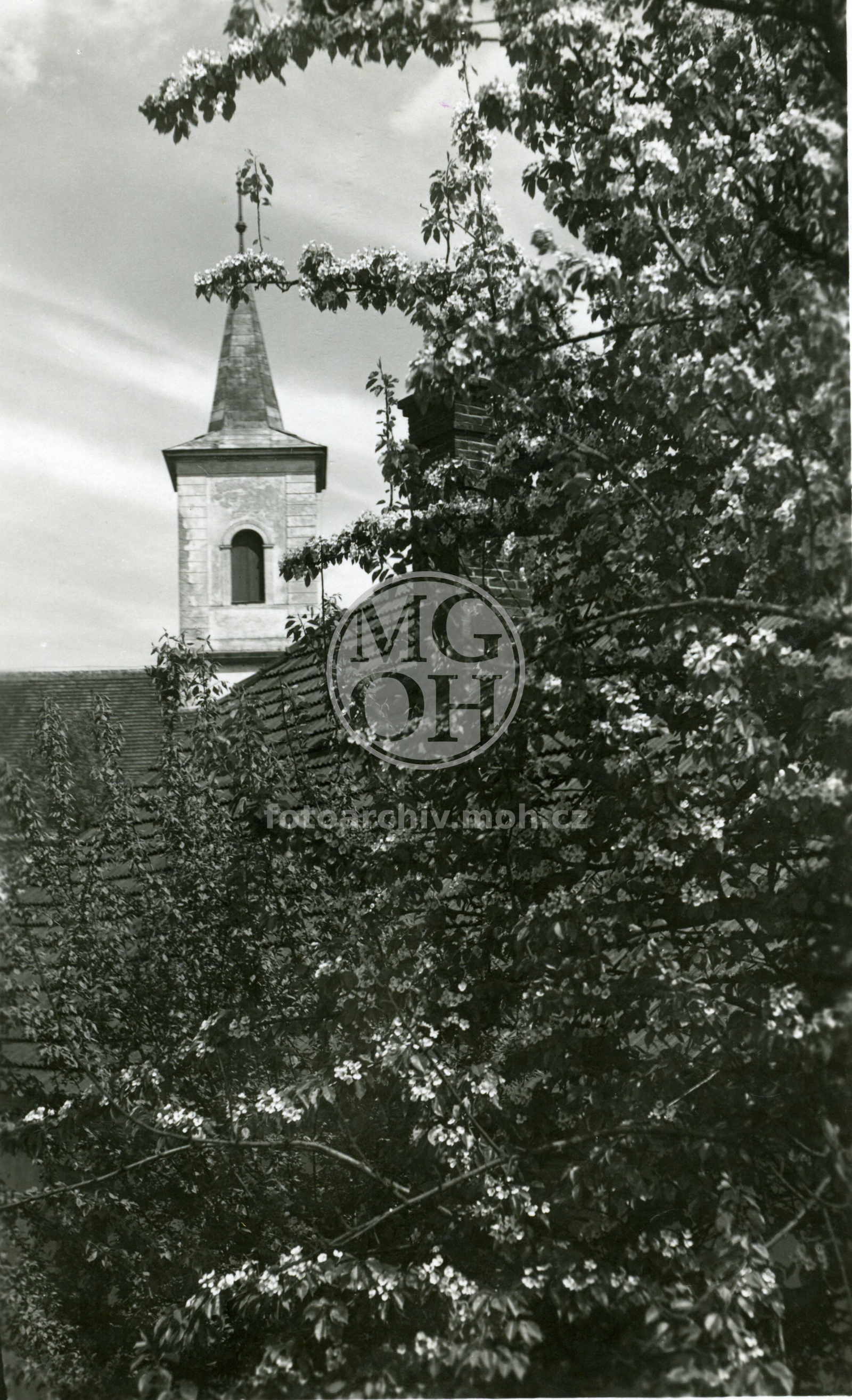 Fotografie - Kostel sv. Václava