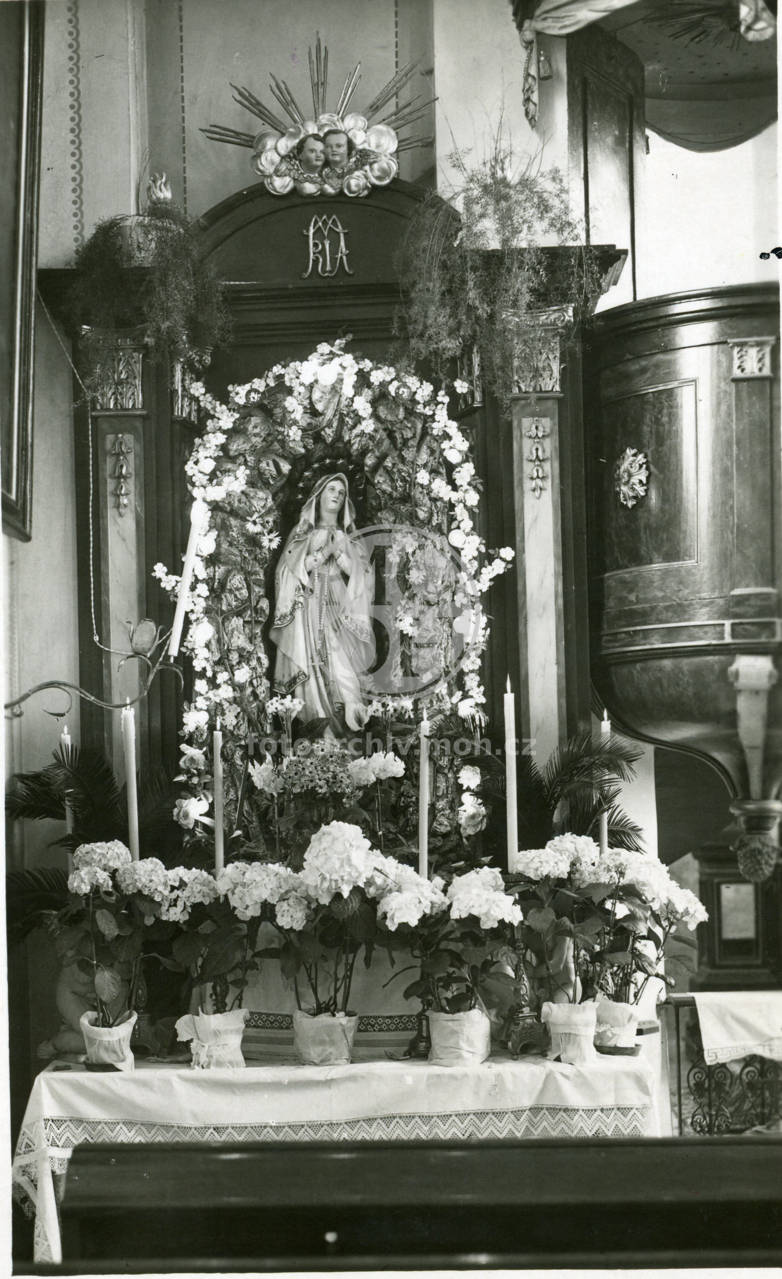 Fotografie - Kostel sv. Václava - mariánský oltář