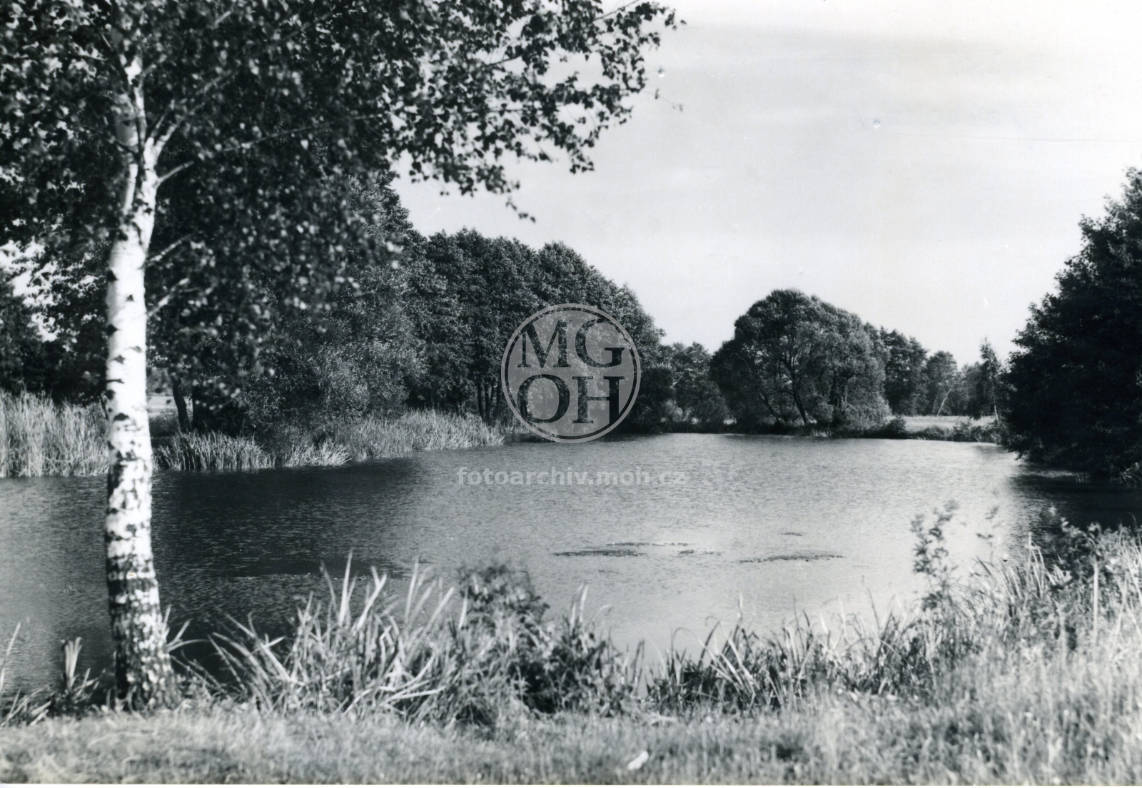 Fotografie - Zátoka