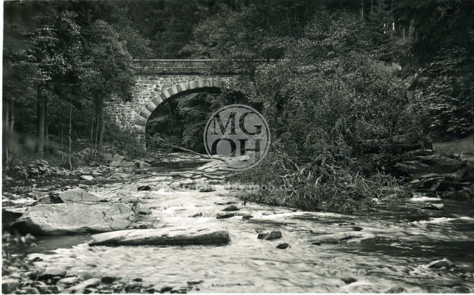 Fotografie - Partie u Zemské brány