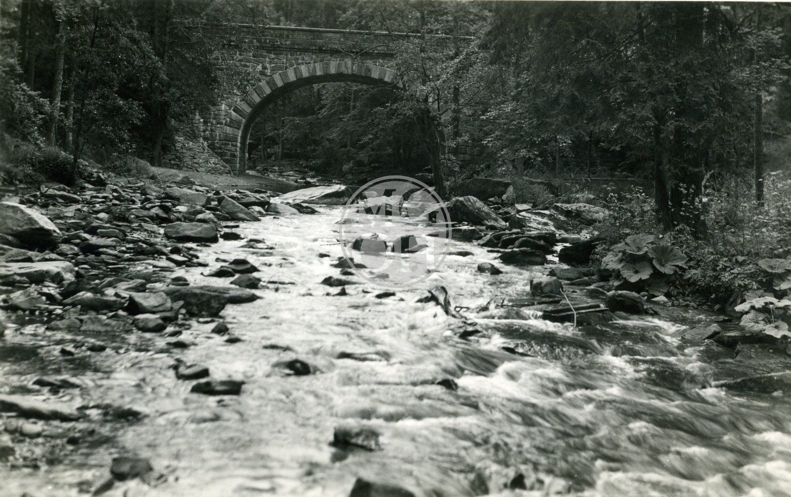 Fotografie - Partie u Zemské brány