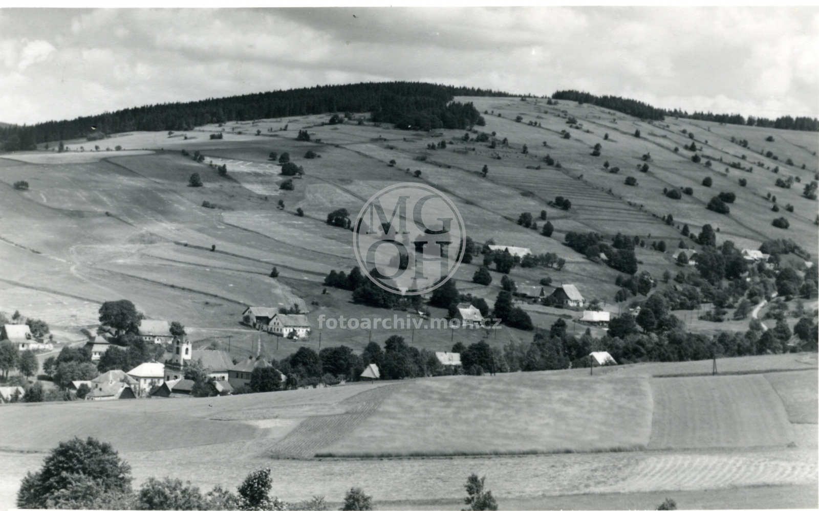 Fotografie - Celkový pohled