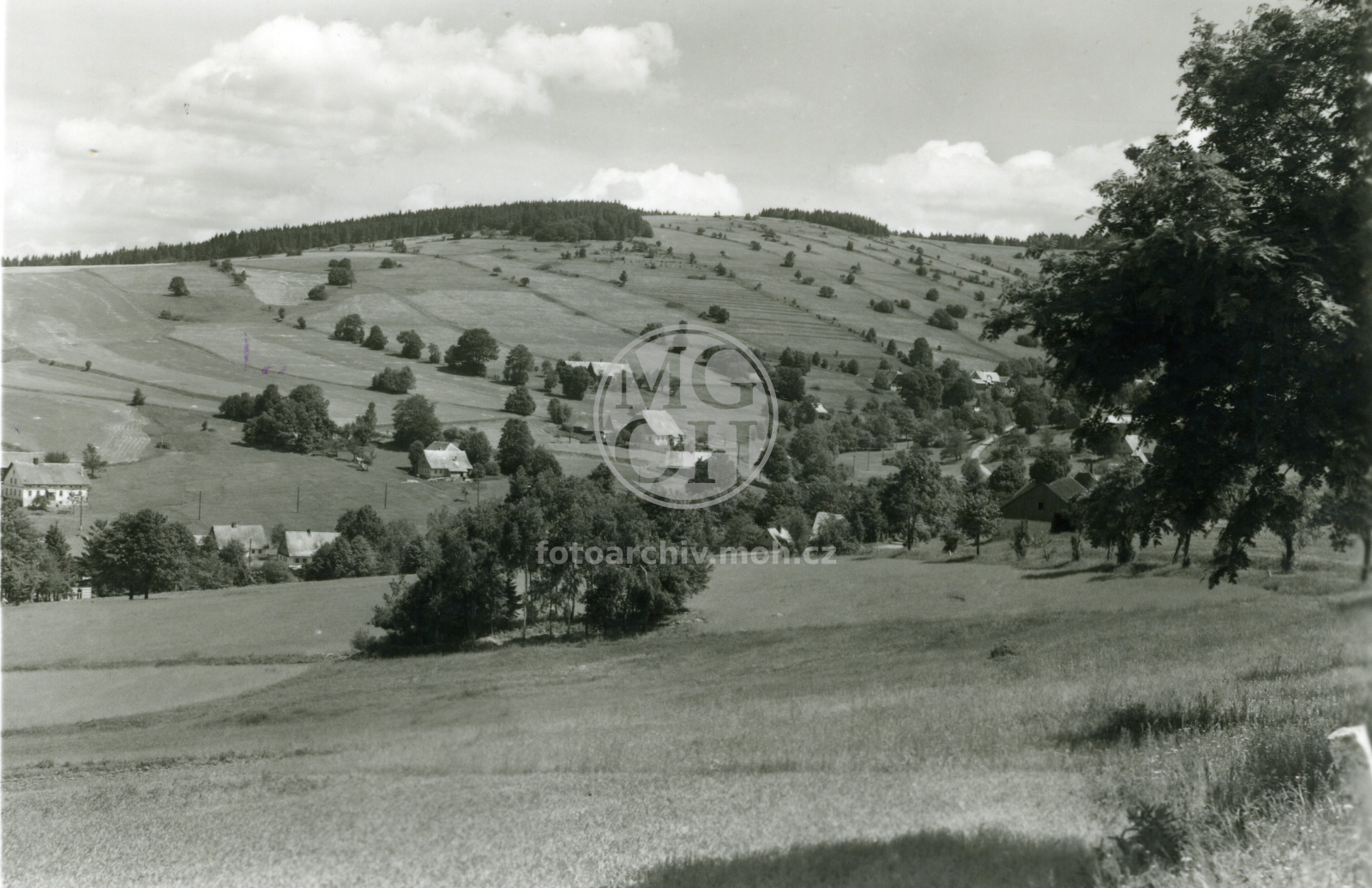 Fotografie - Celkový pohled
