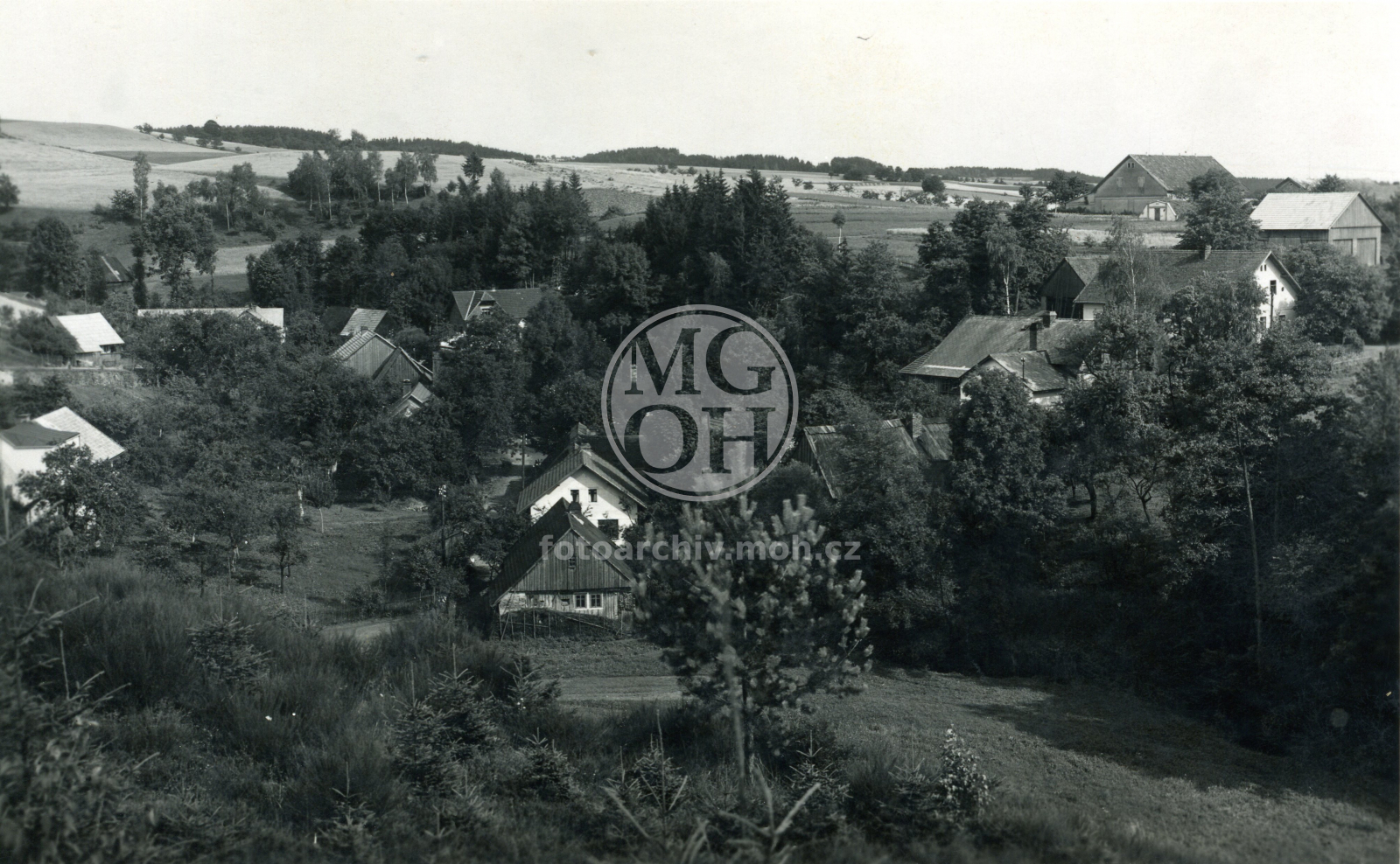 Fotografie - Celkový pohled