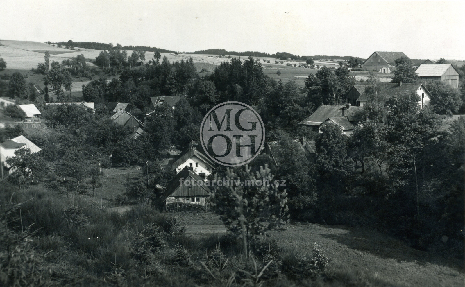 Fotografie - Celkový pohled