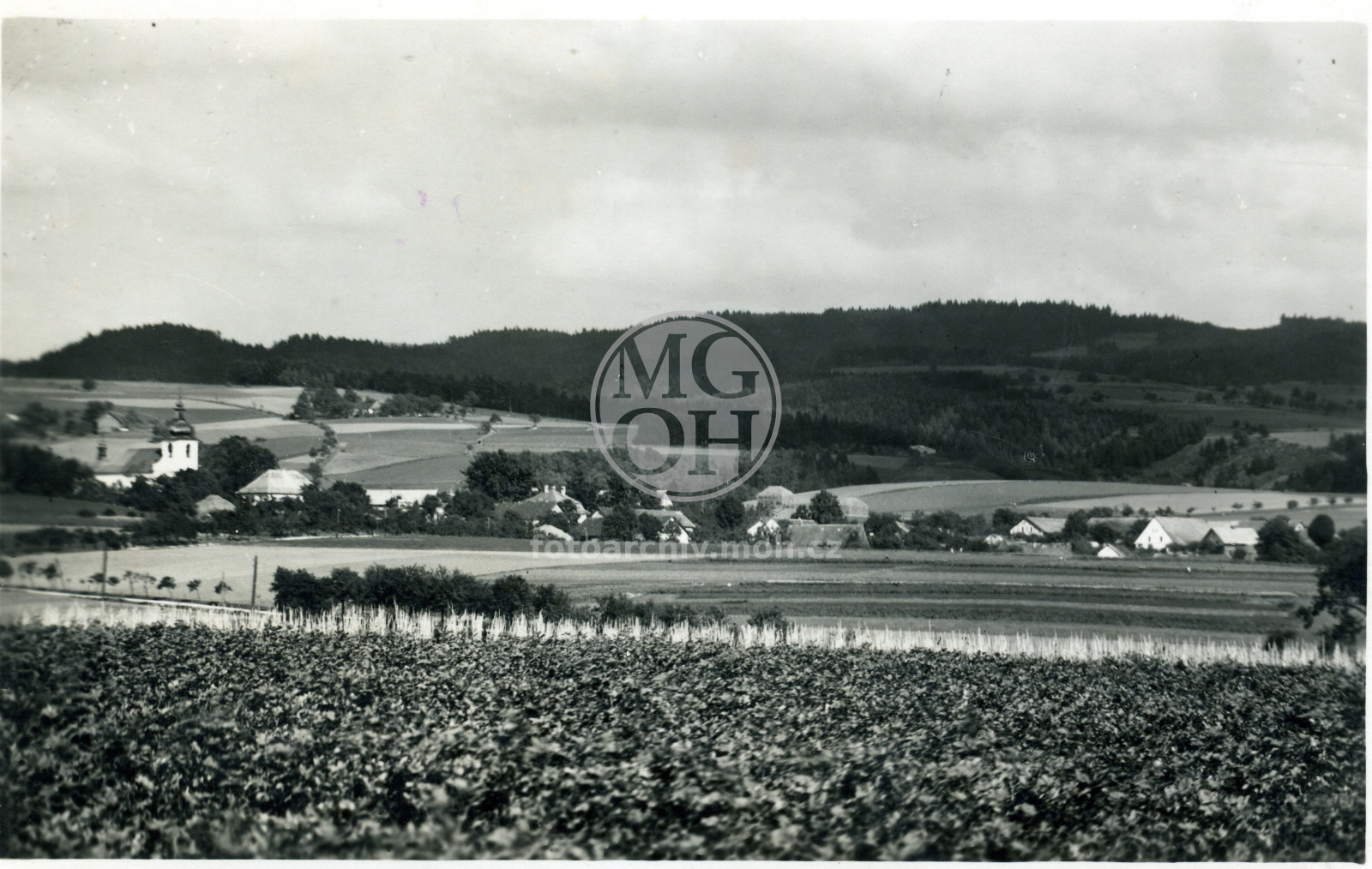 Fotografie - Celkový pohled
