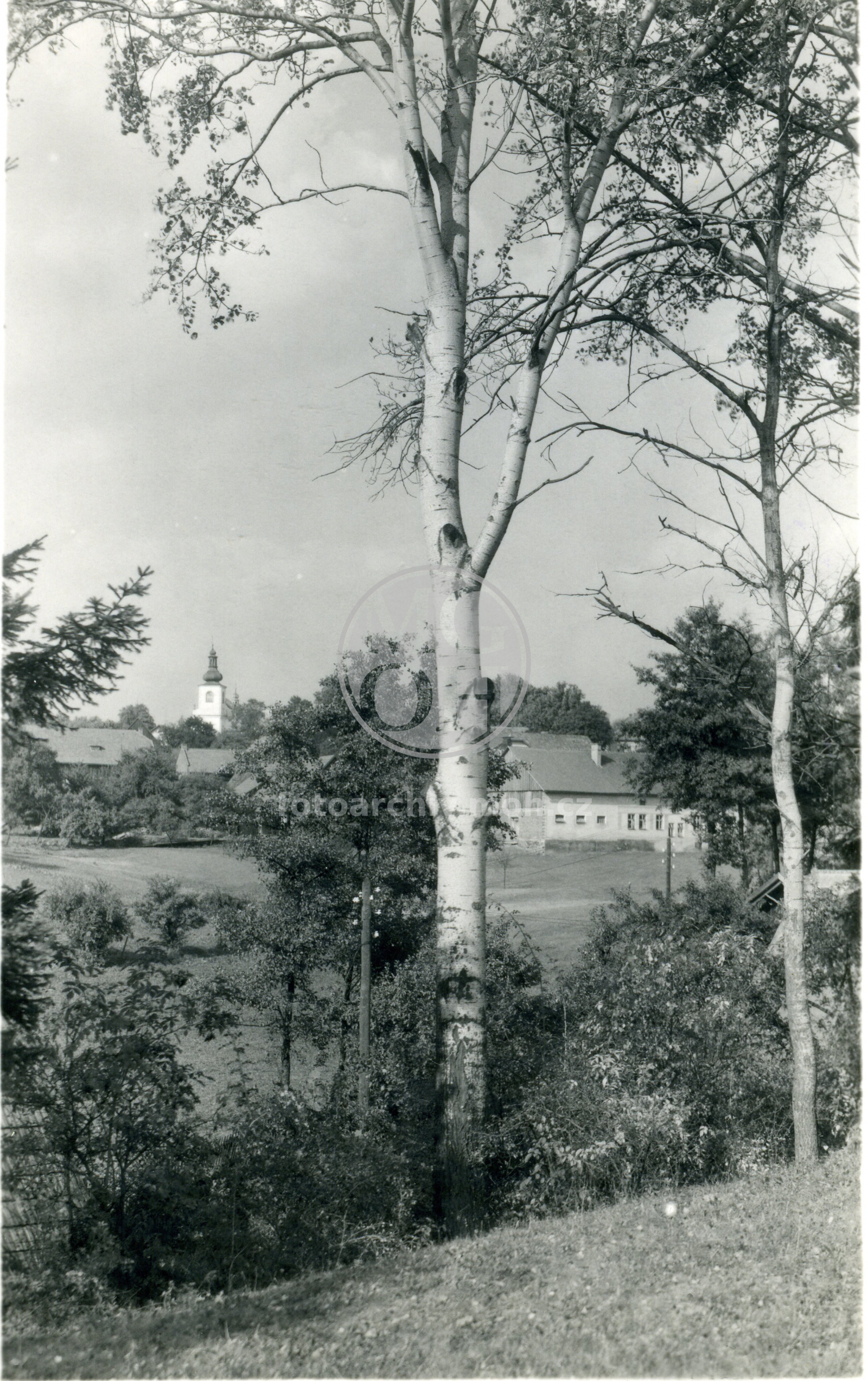 Fotografie - Celkový pohled