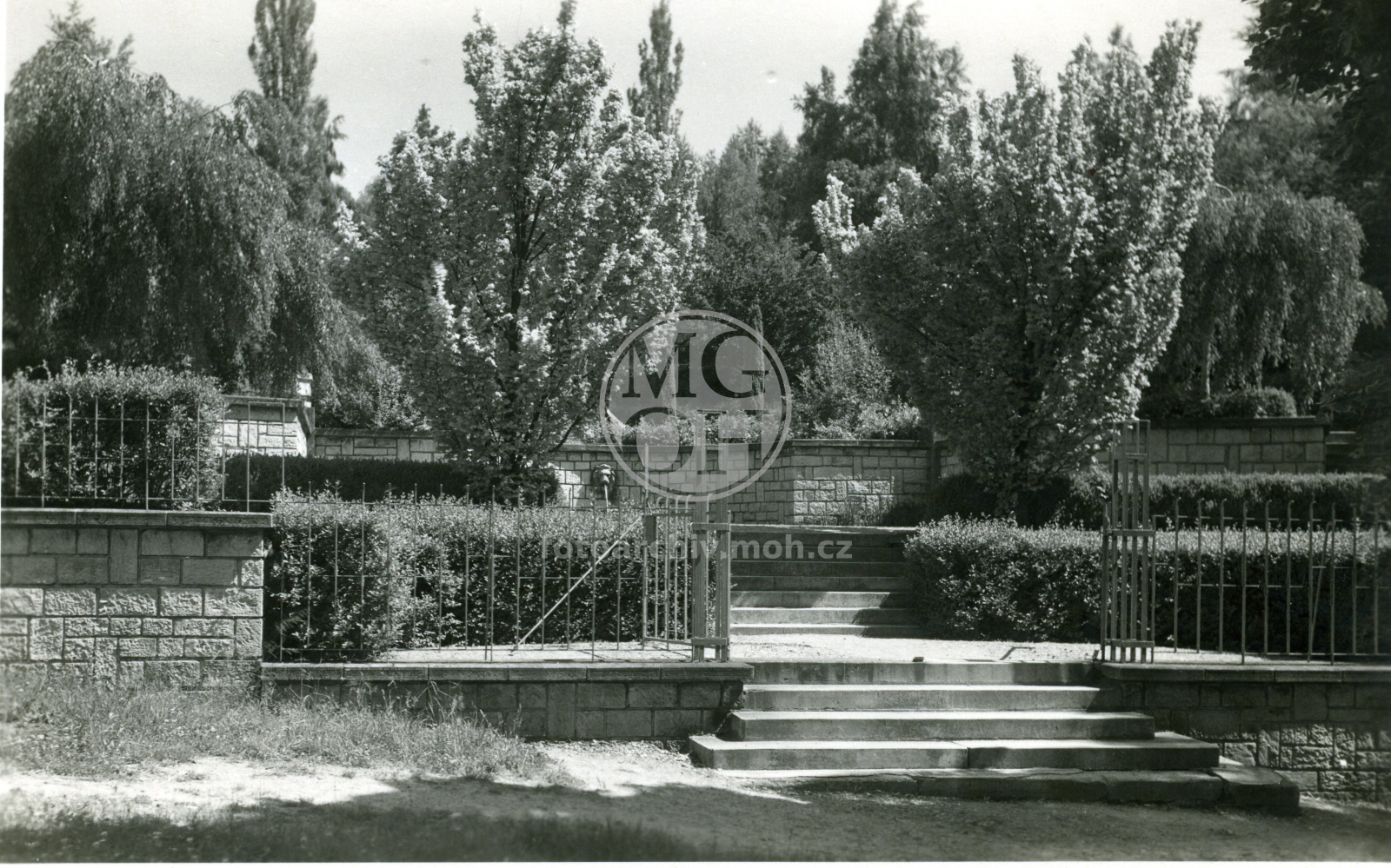 Fotografie - Urnový háj