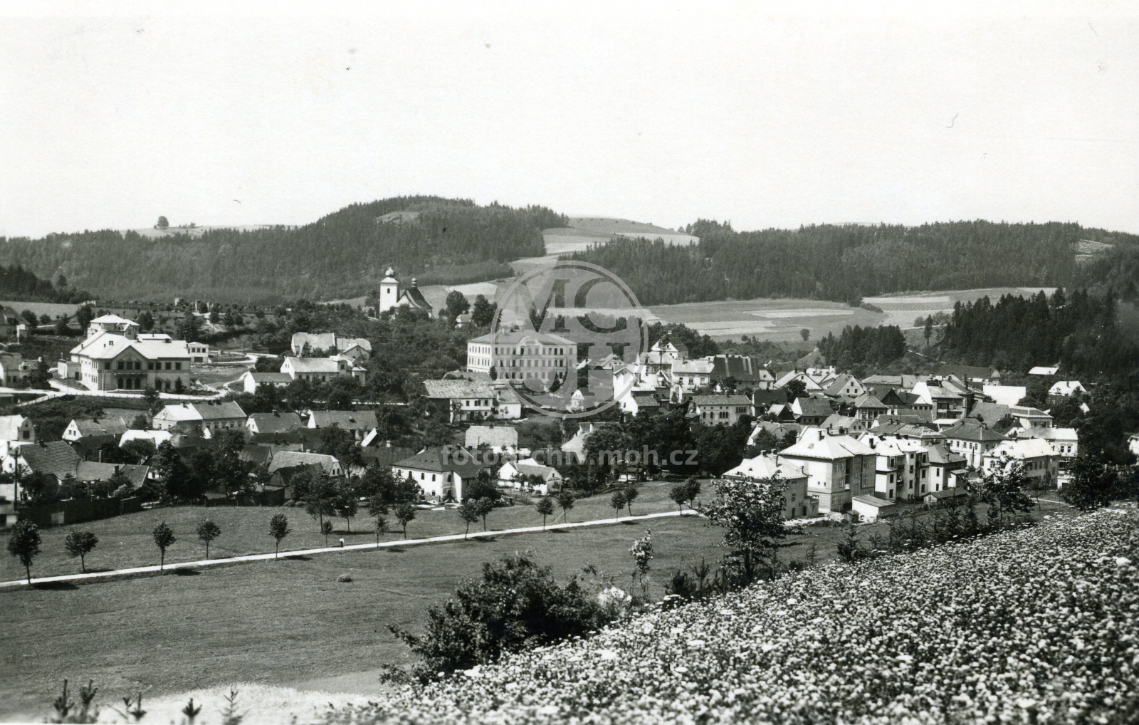 Fotografie - Celkový pohled