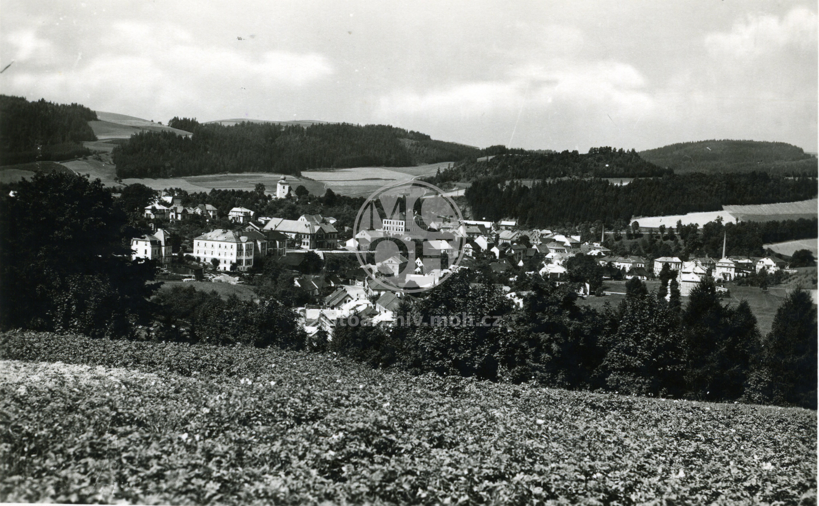 Fotografie - Celkový pohled