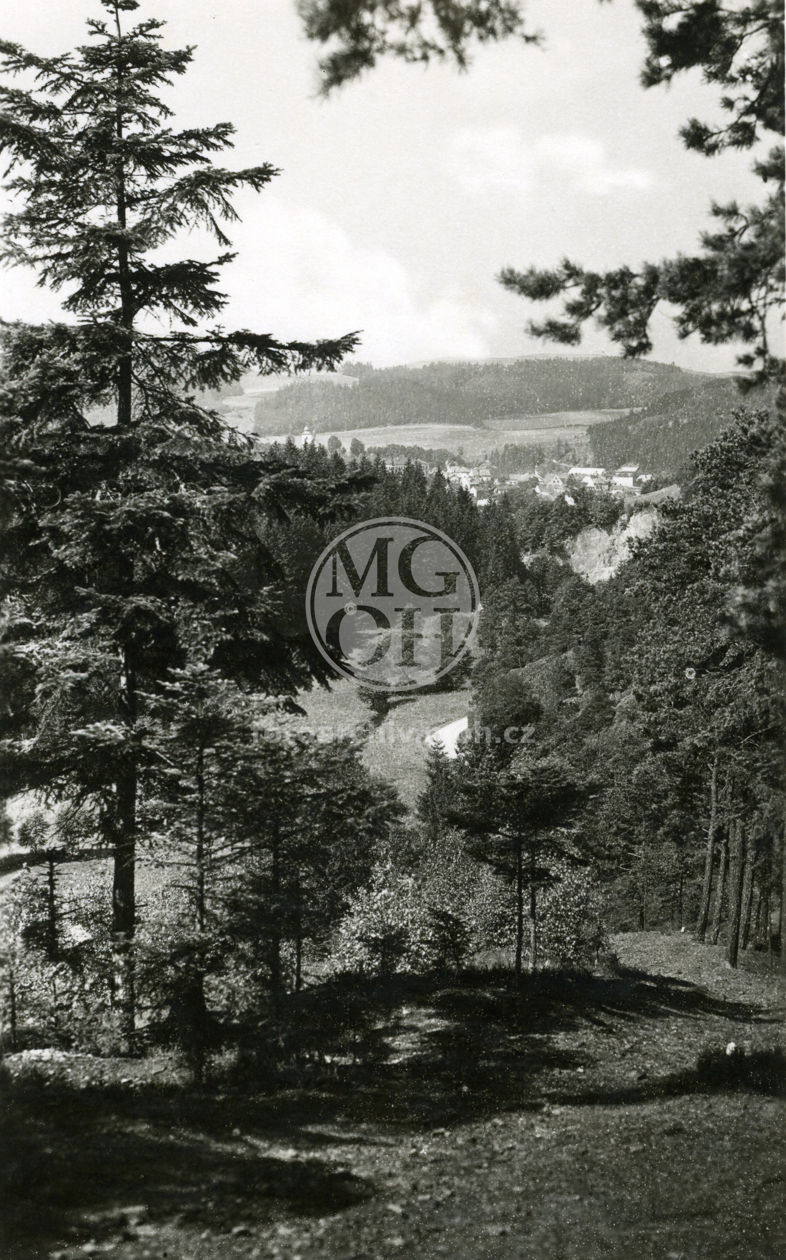 Fotografie - Celkový pohled