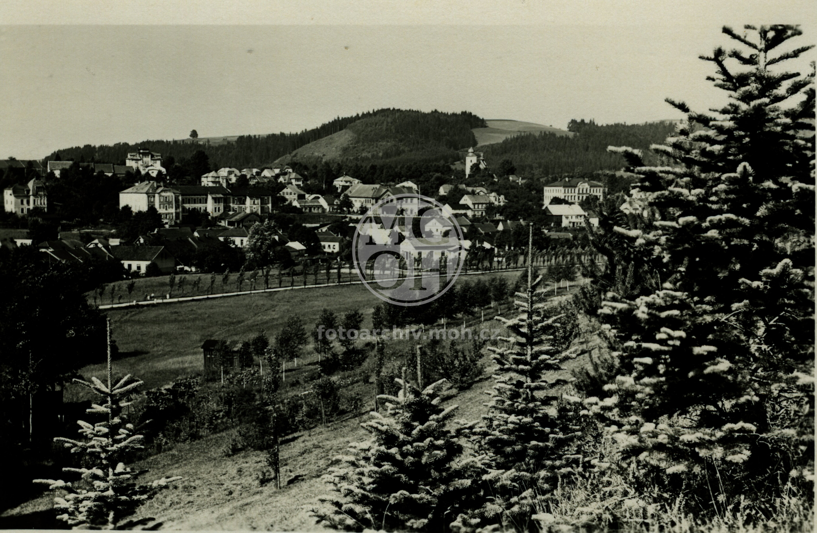 Fotografie - Celkový pohled