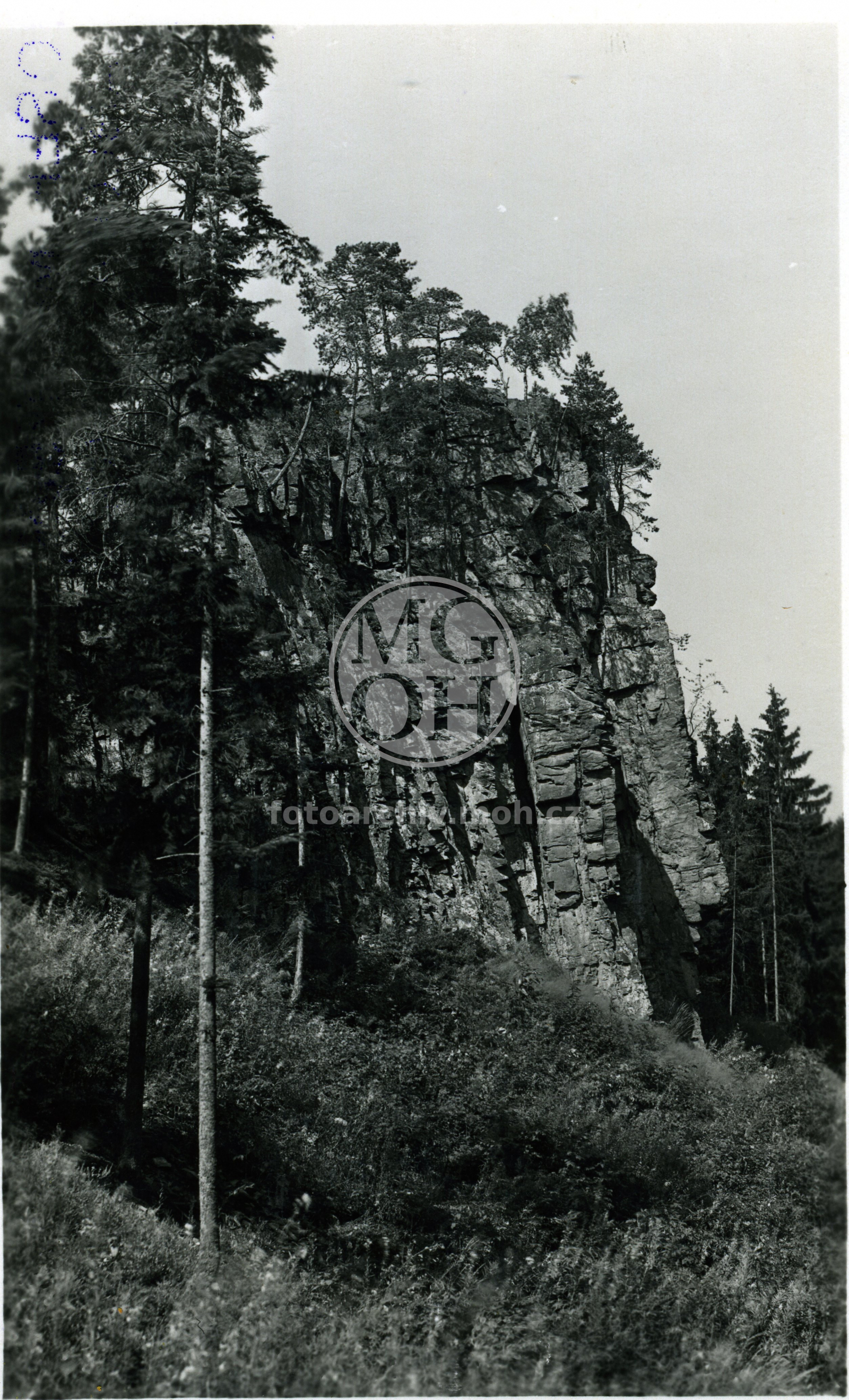 Fotografie - Partie z Hradisk