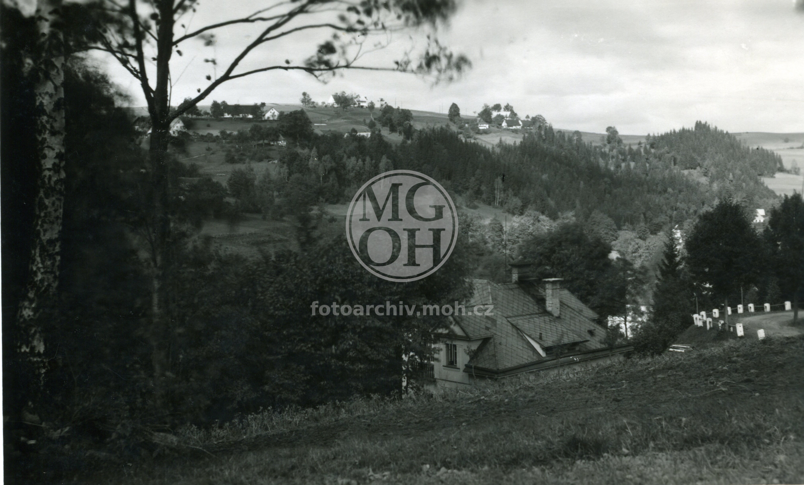 Fotografie - Partie od "Čertovy skalky"