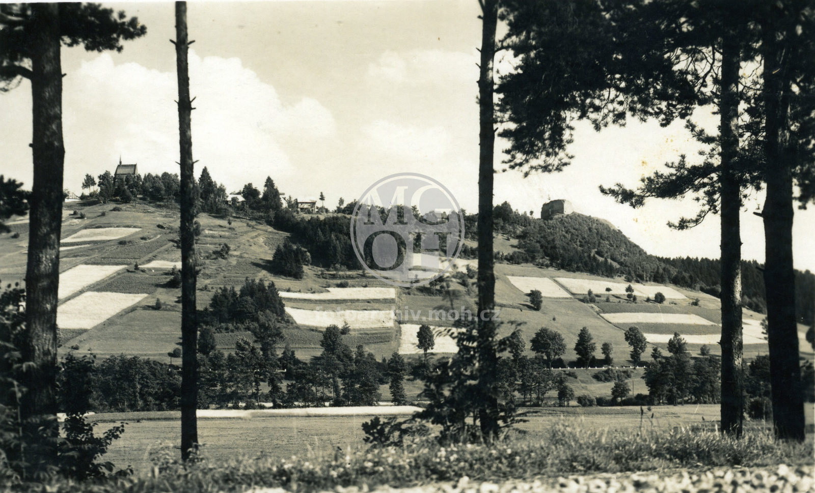 Fotografie - Celkový pohled