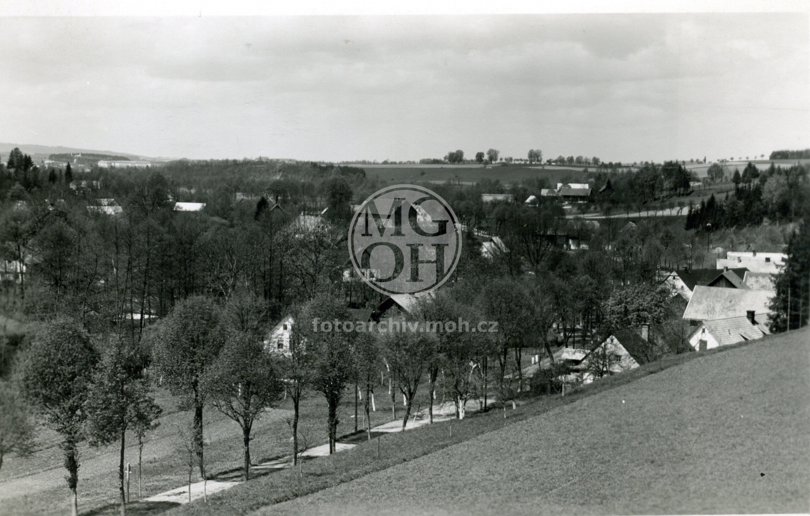 Fotografie - Celkový pohled