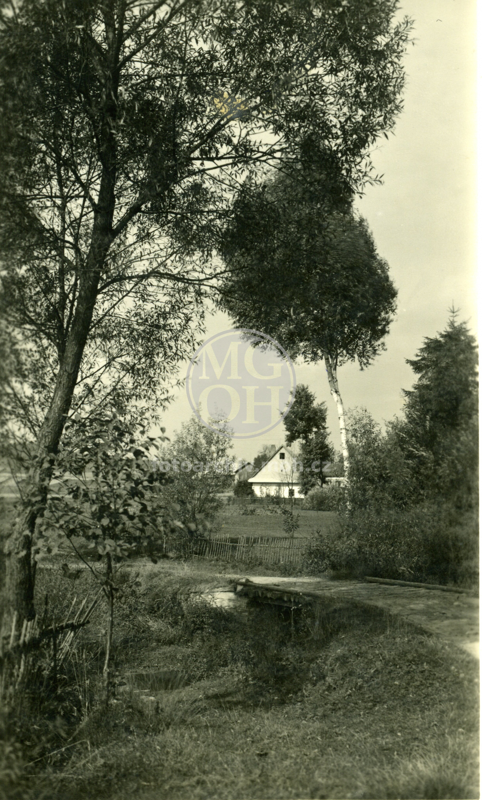 Fotografie - Od potoka (Lukavického)