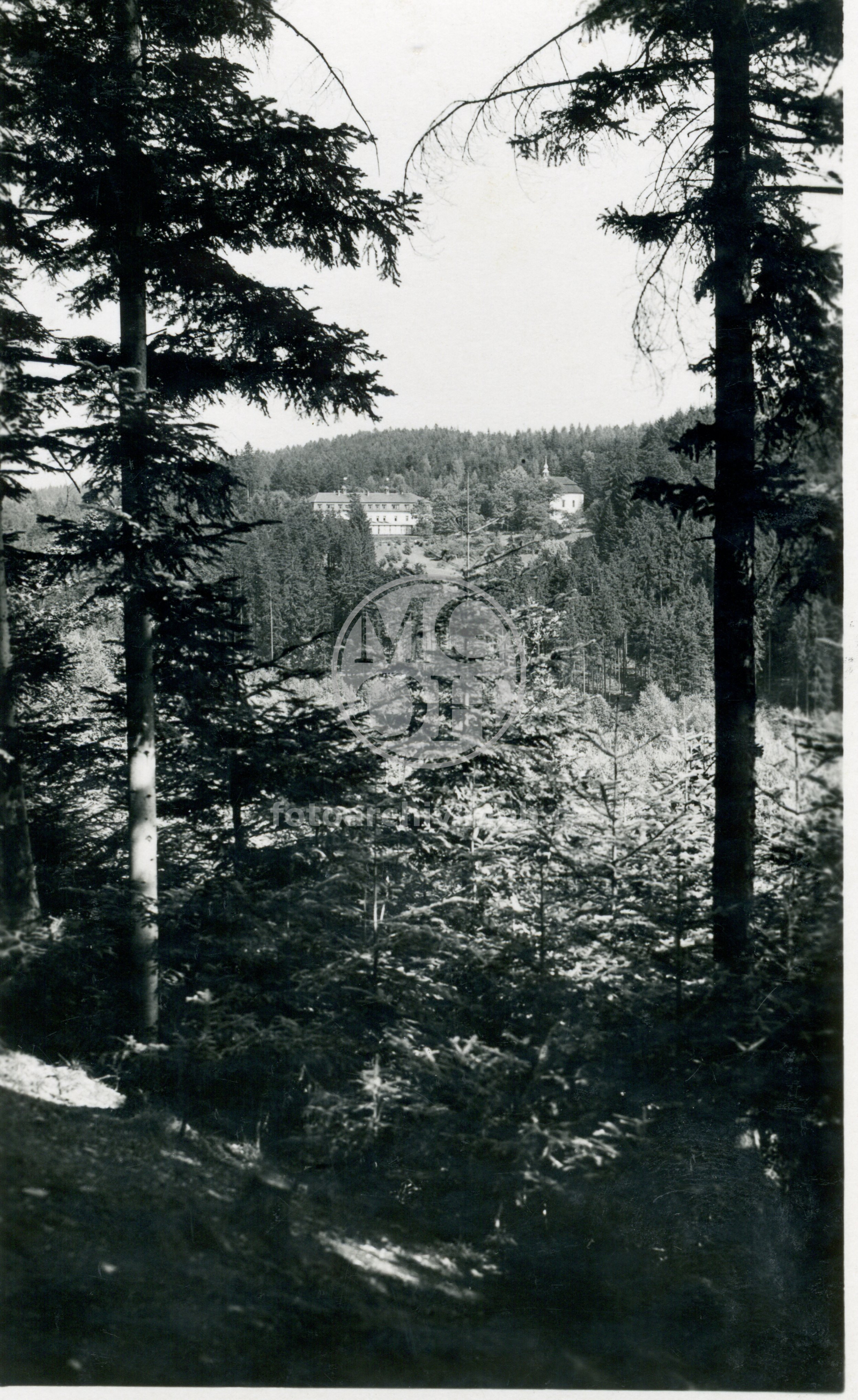 Fotografie - Celkový pohled