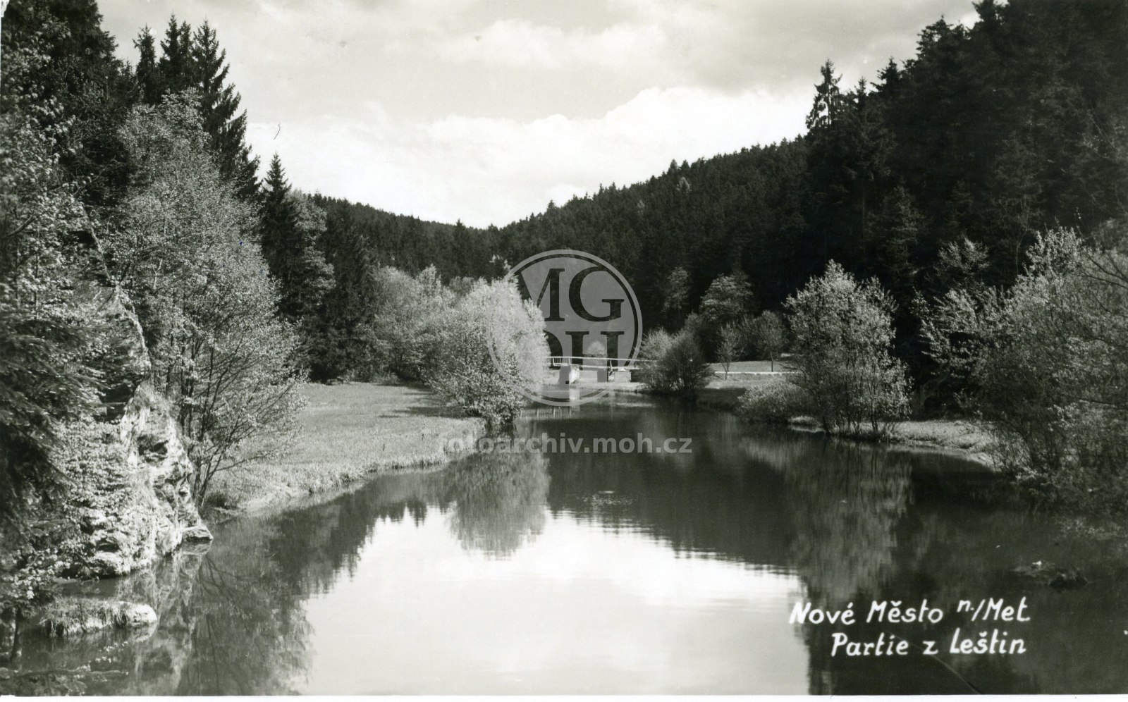 Fotografie - Partie z Leštin