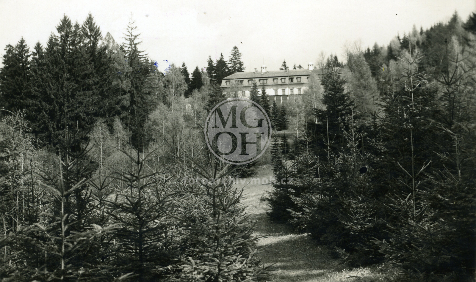 Fotografie - Lázně Rezek