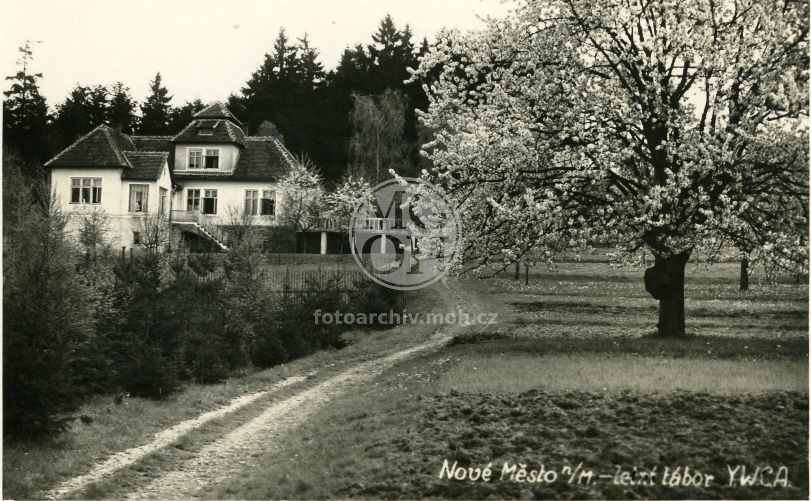 Fotografie - Letní tábor