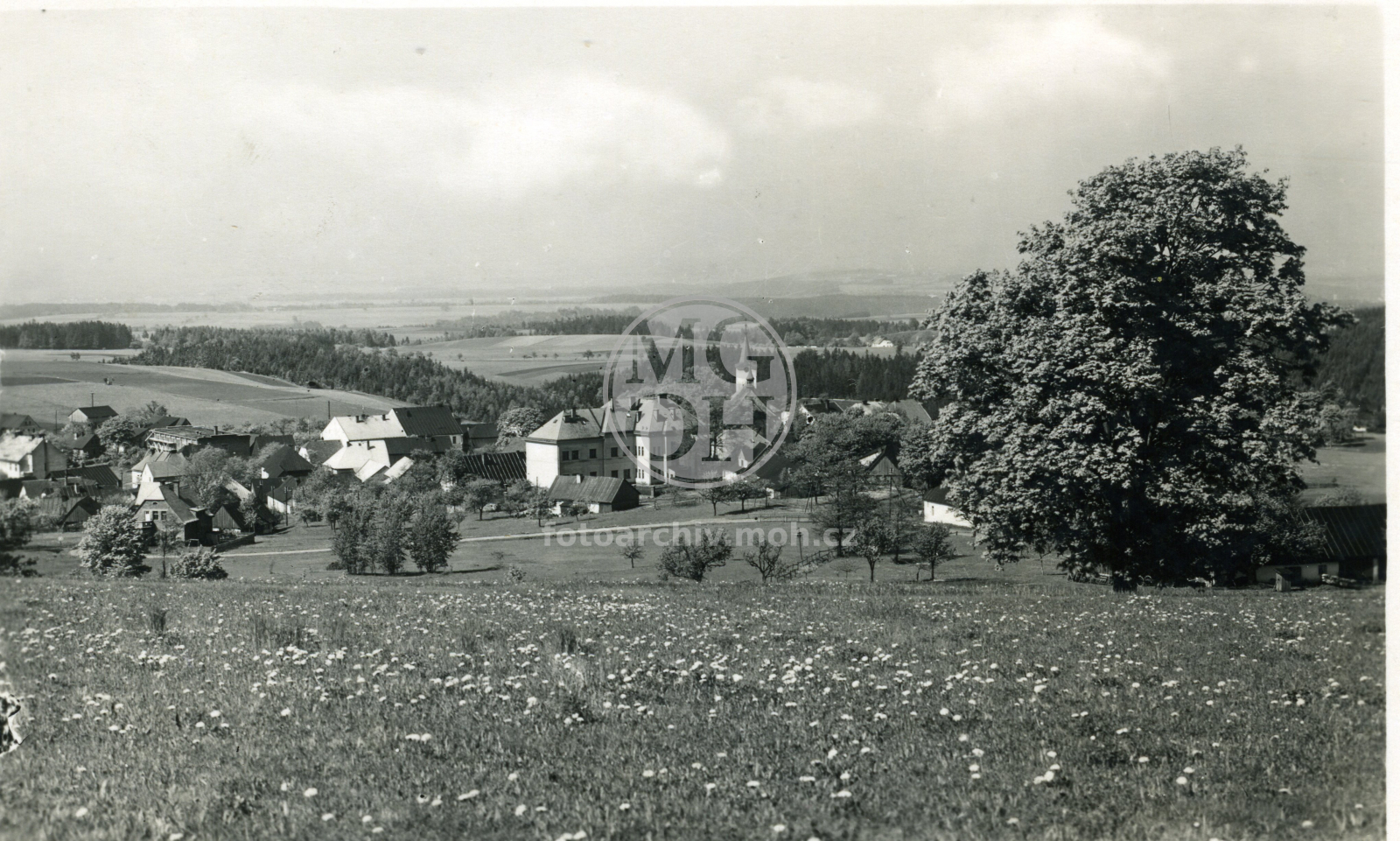 Fotografie - Celkový pohled