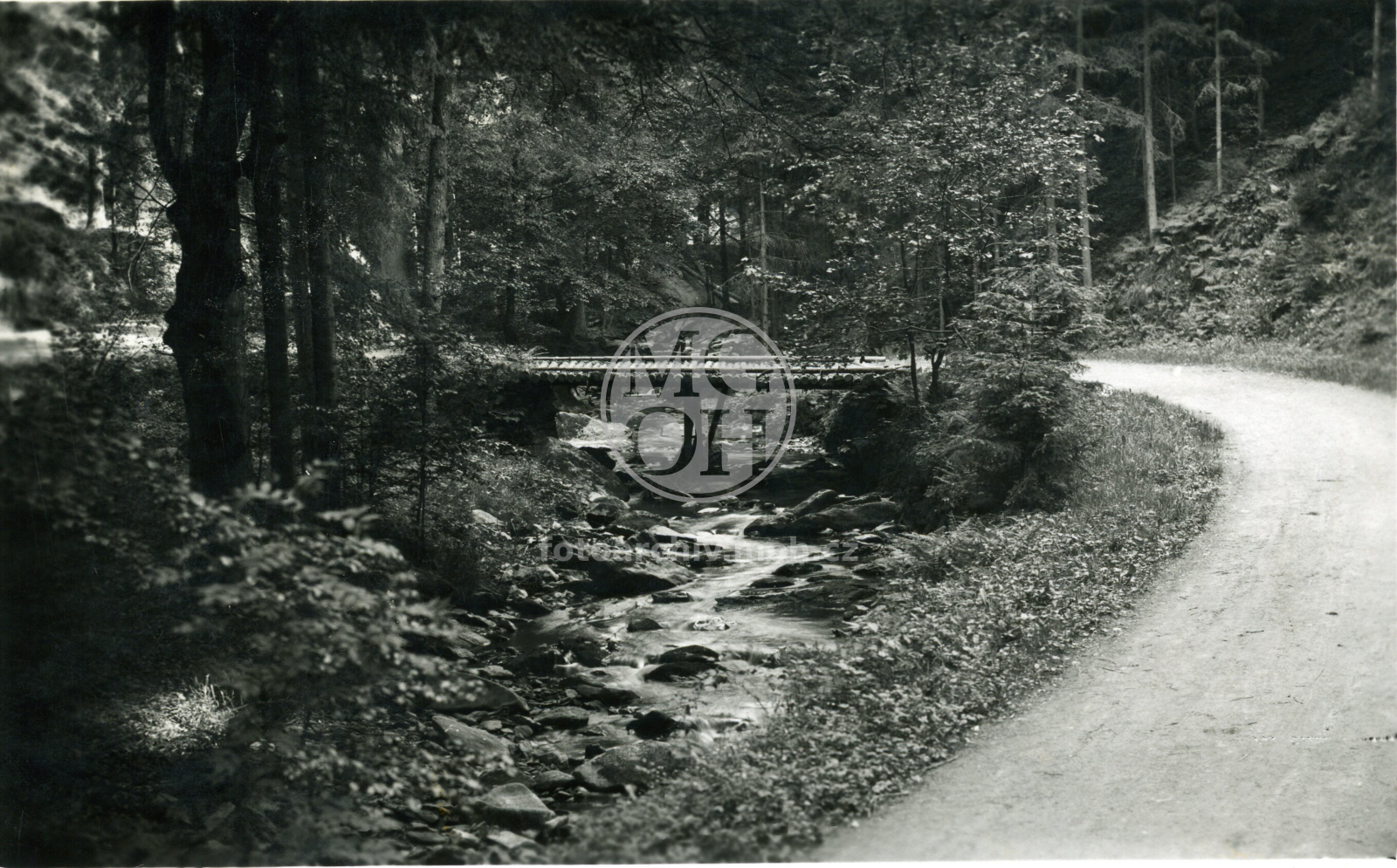 Fotografie - Partie z okolí