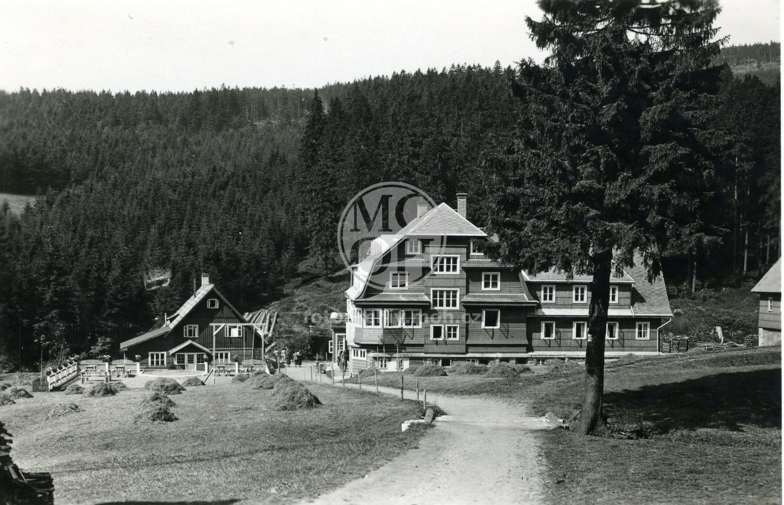 Fotografie - Šerlišský mlýn