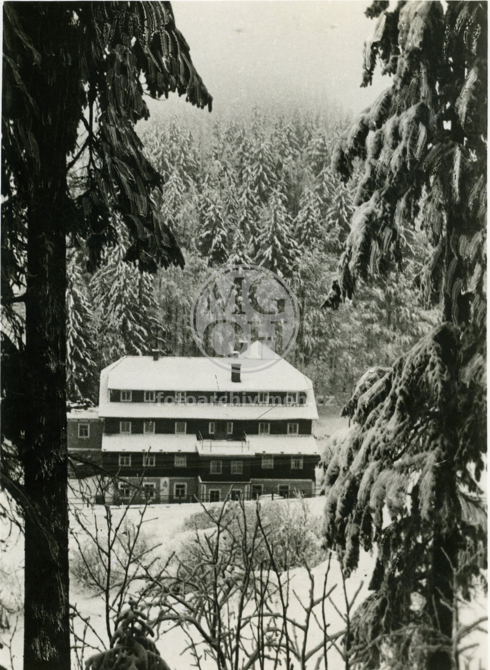 Fotografie - Chata Alba