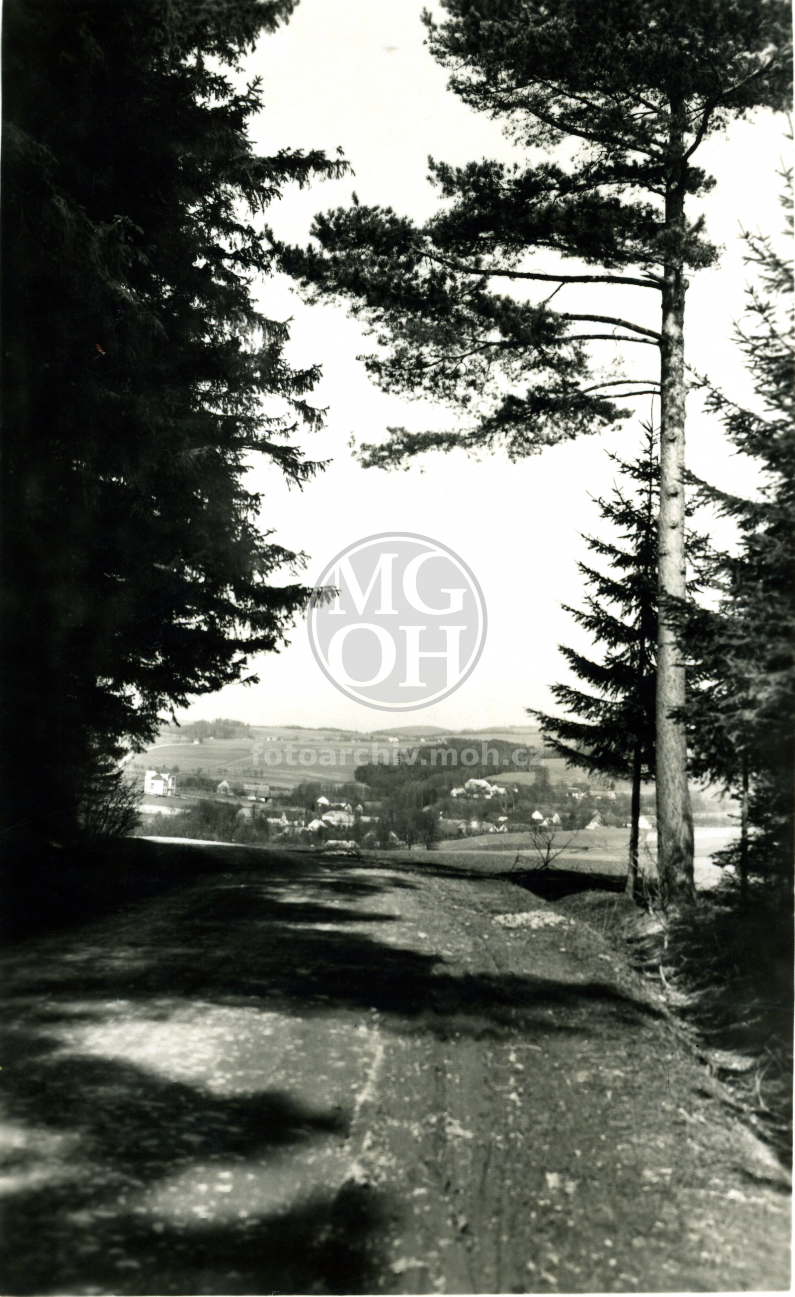 Fotografie - Celkový  pohled