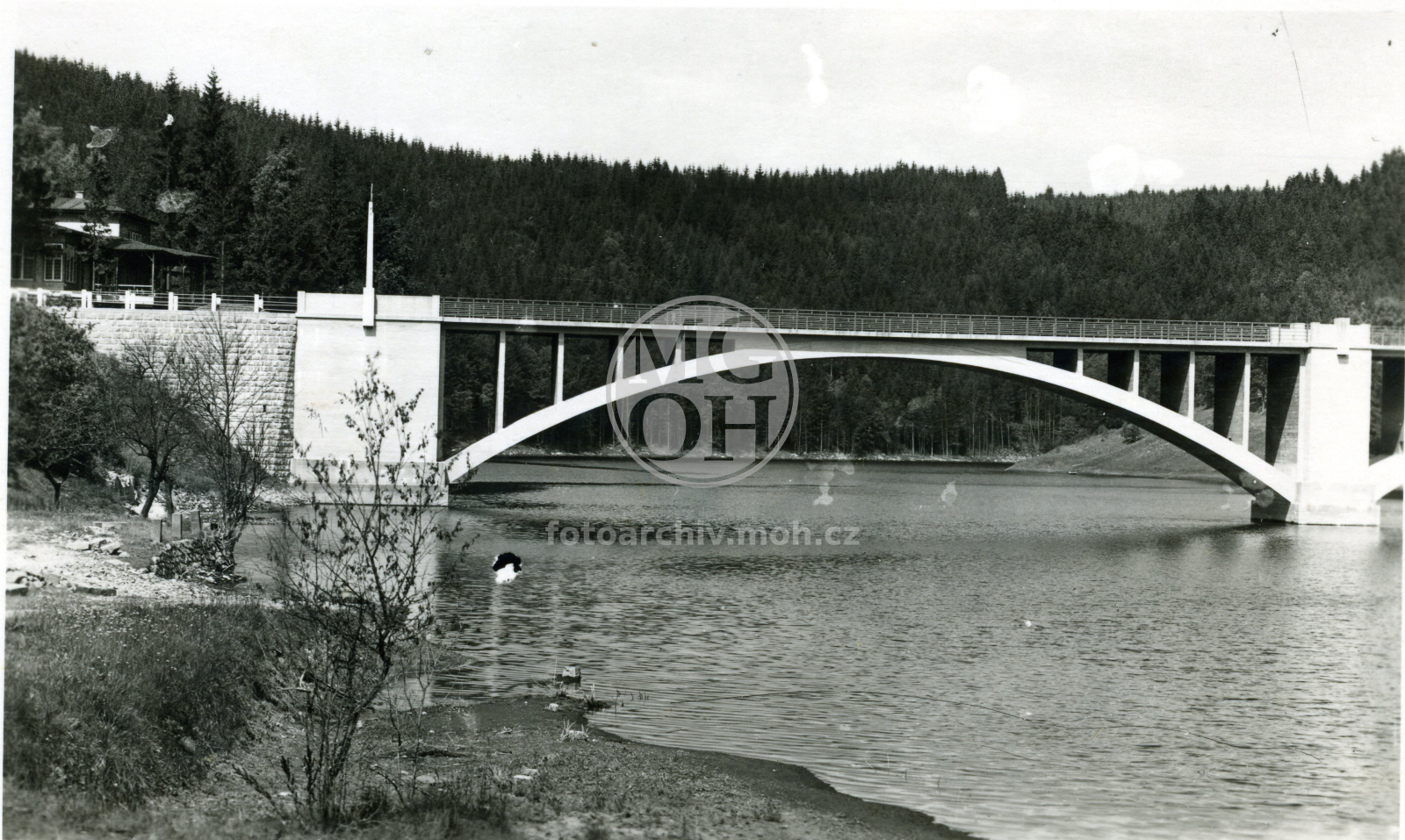 Fotografie - Přehrada