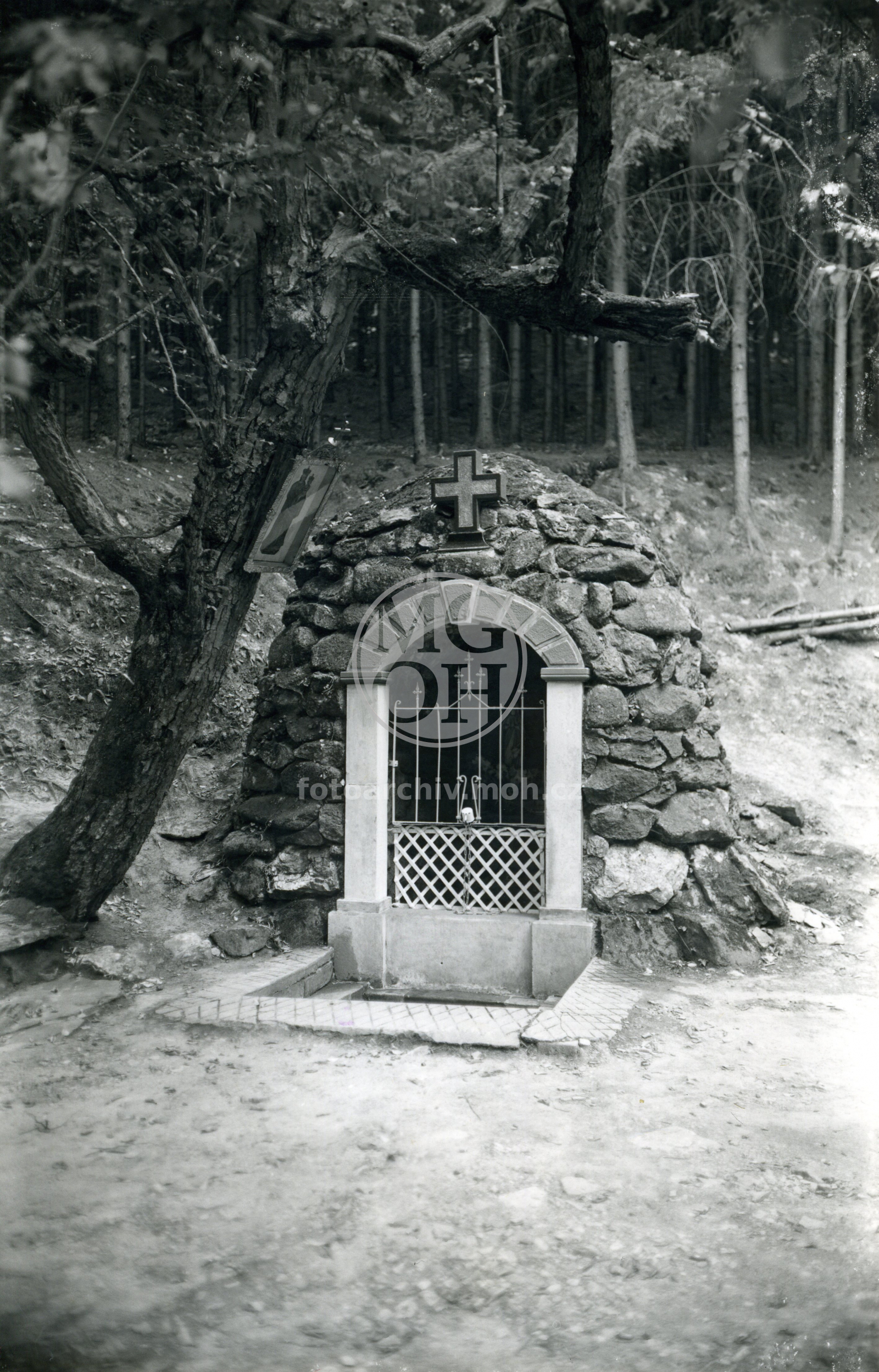 Fotografie - Studánka ve Dřiznech
